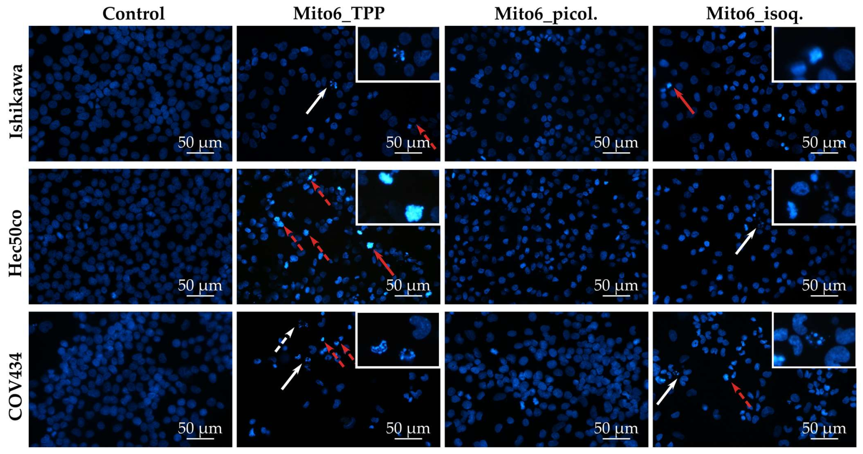 Biomedicines 10 00800 g006
