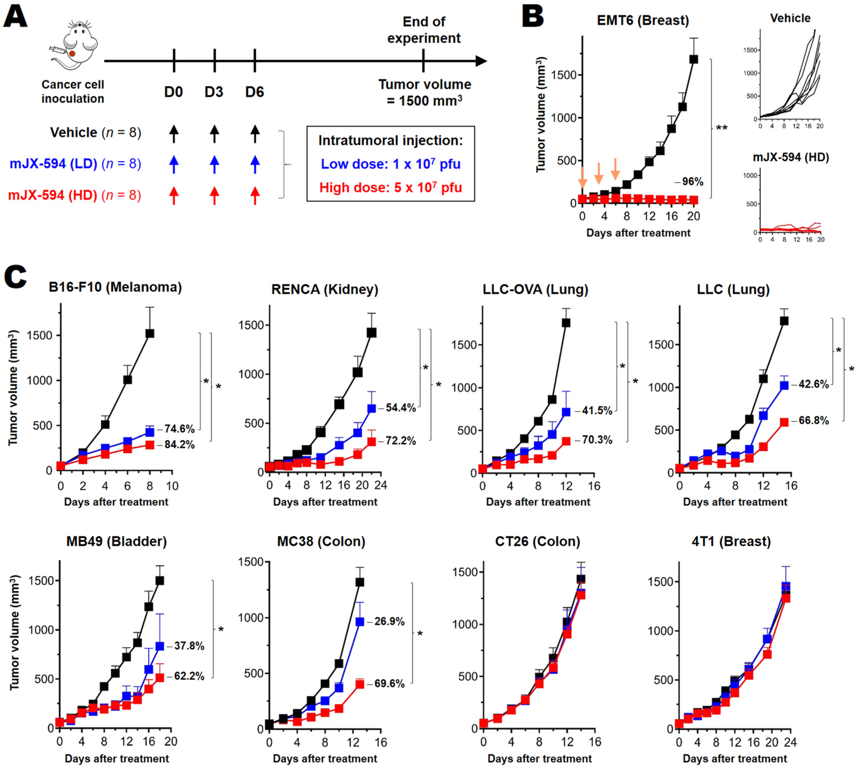 Biomedicines 10 00805 g001