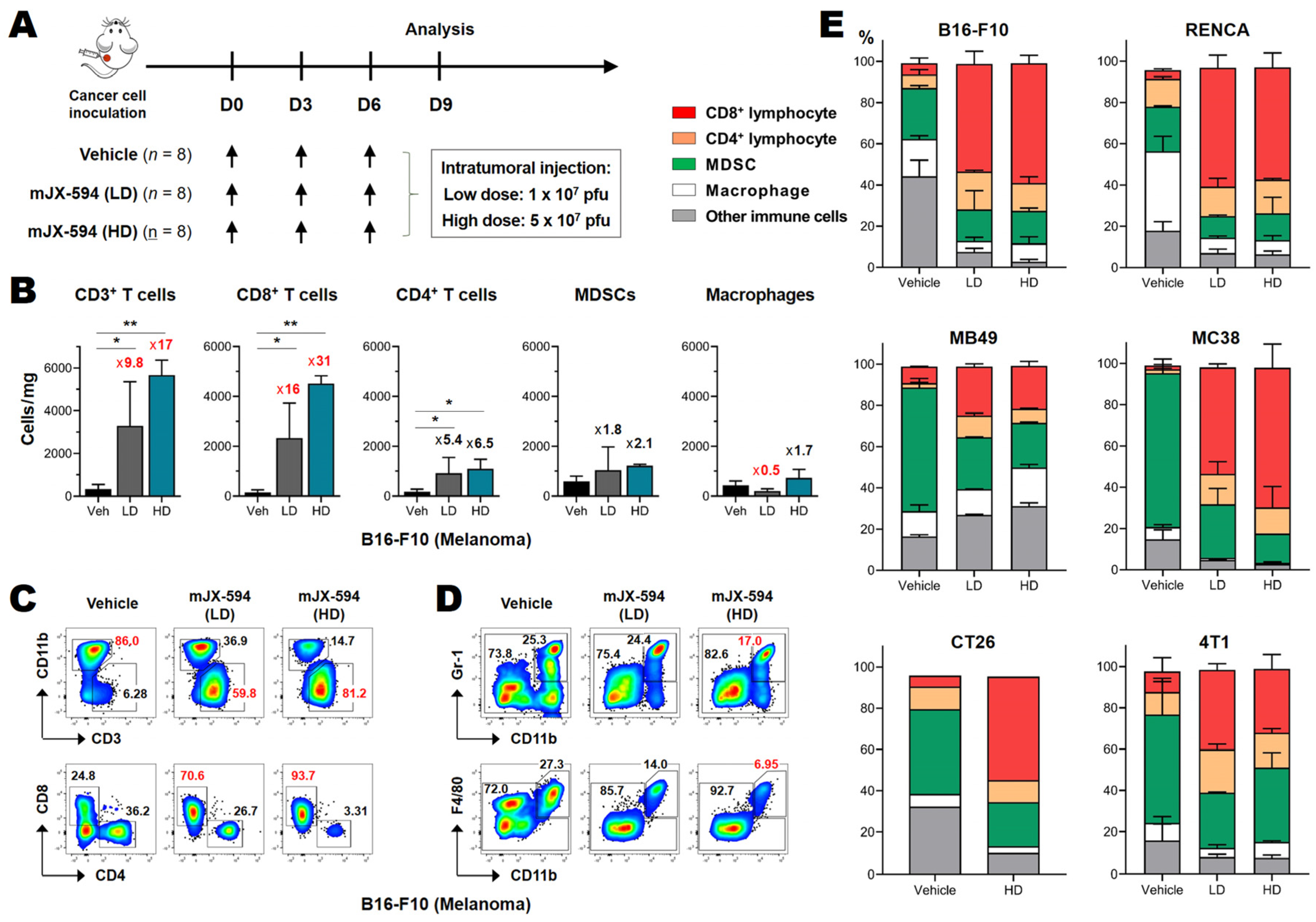 Biomedicines 10 00805 g002