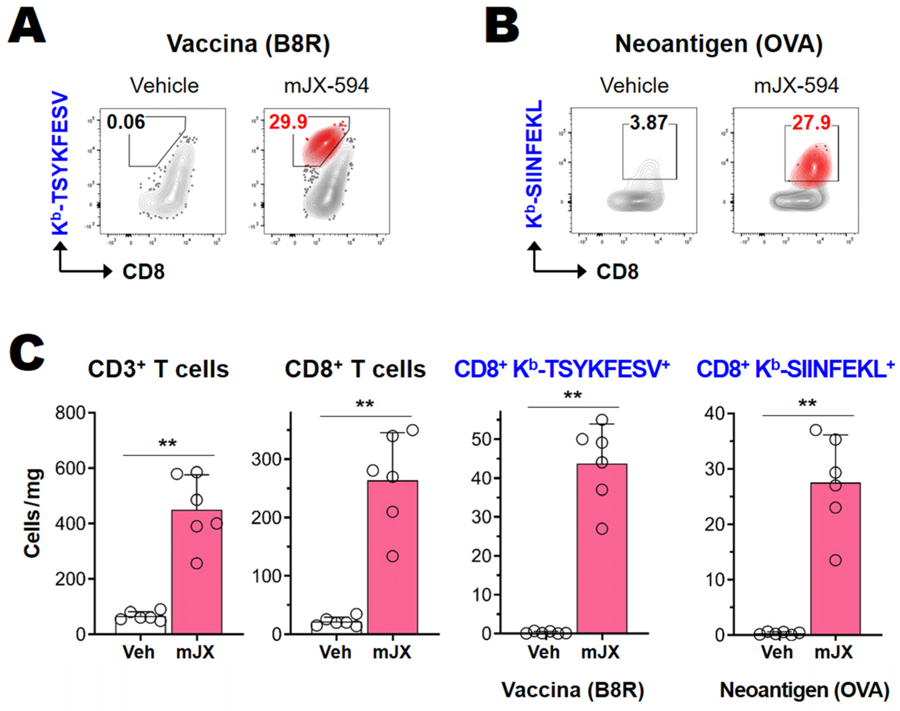 Biomedicines 10 00805 g003
