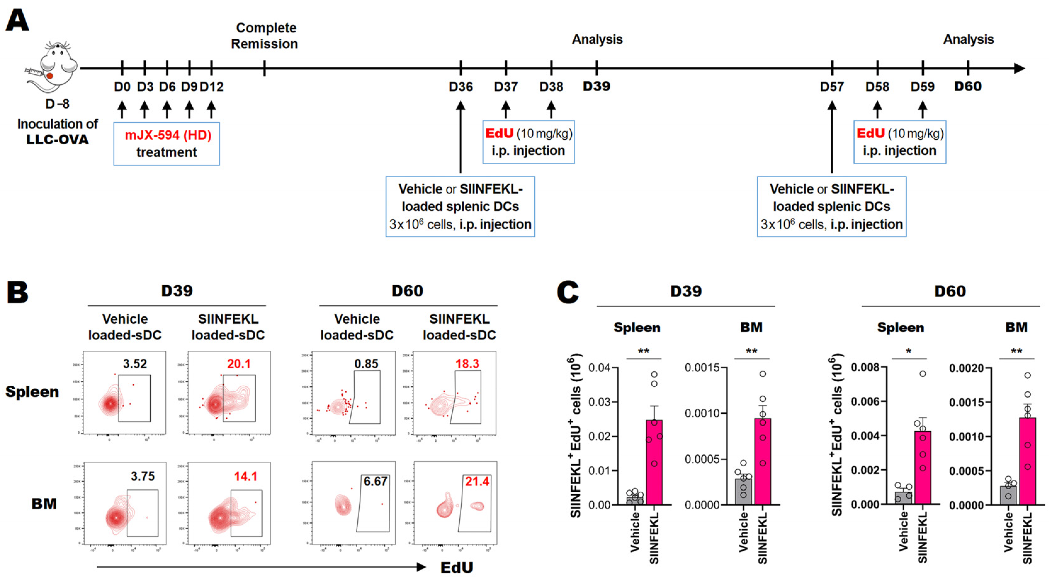 Biomedicines 10 00805 g006