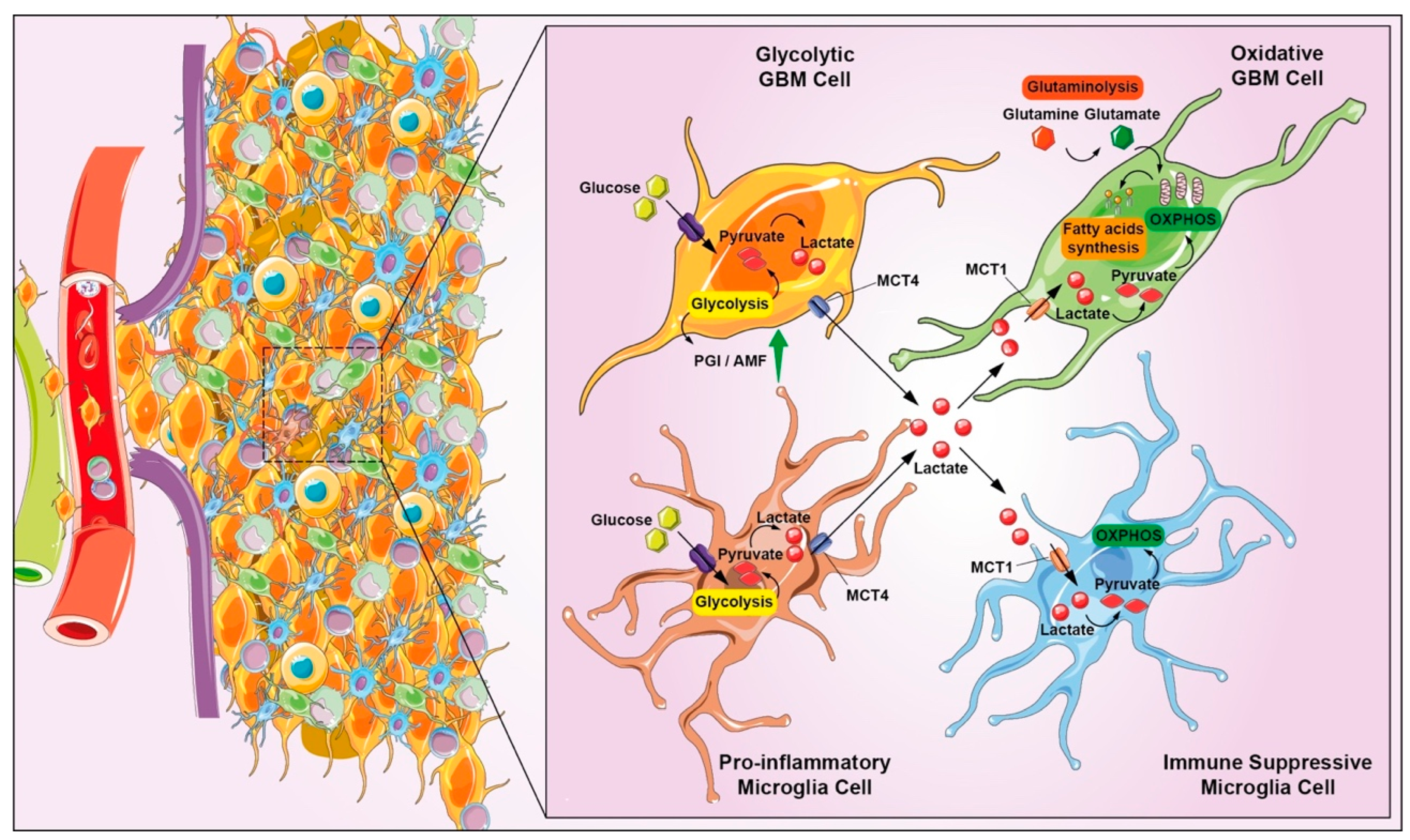 Biomedicines 10 00806 g006