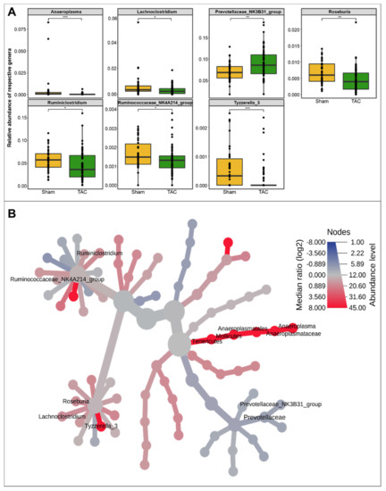 dysbiosis a bélben Hogyan hívják a nagy férgeket?