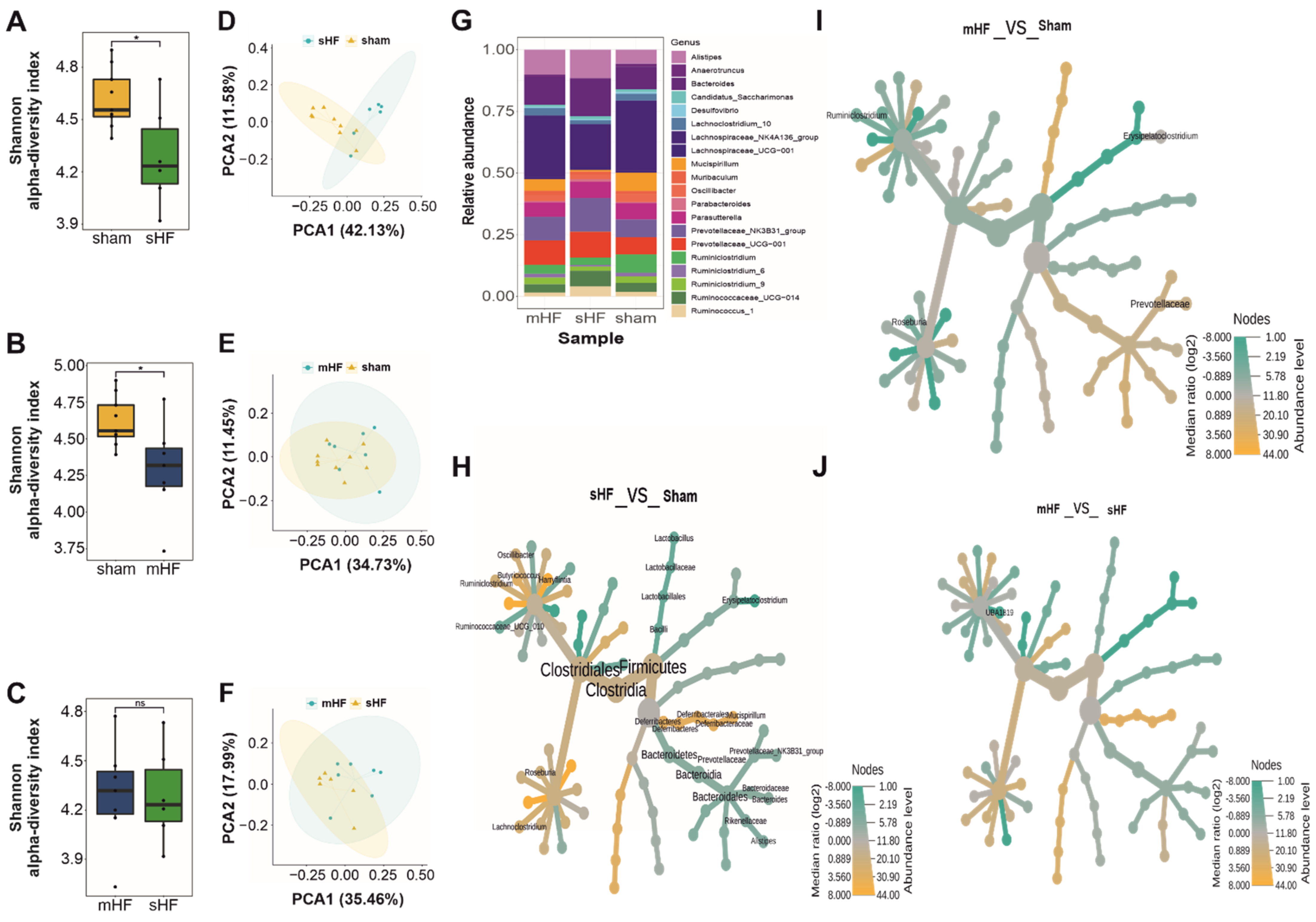 Biomedicines 10 00809 g003 Biomedicines 10 00809 g003