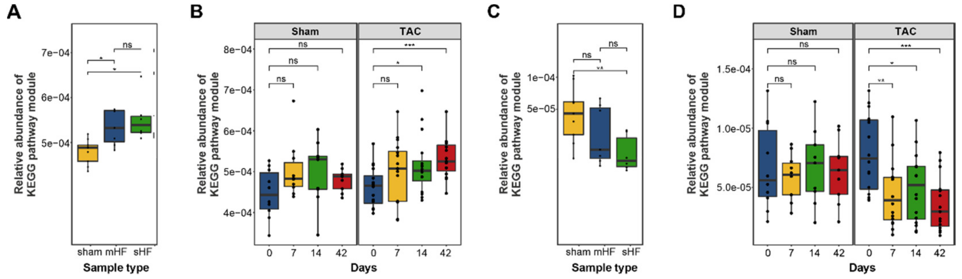 Biomedicines 10 00809 g004 Biomedicines 10 00809 g004