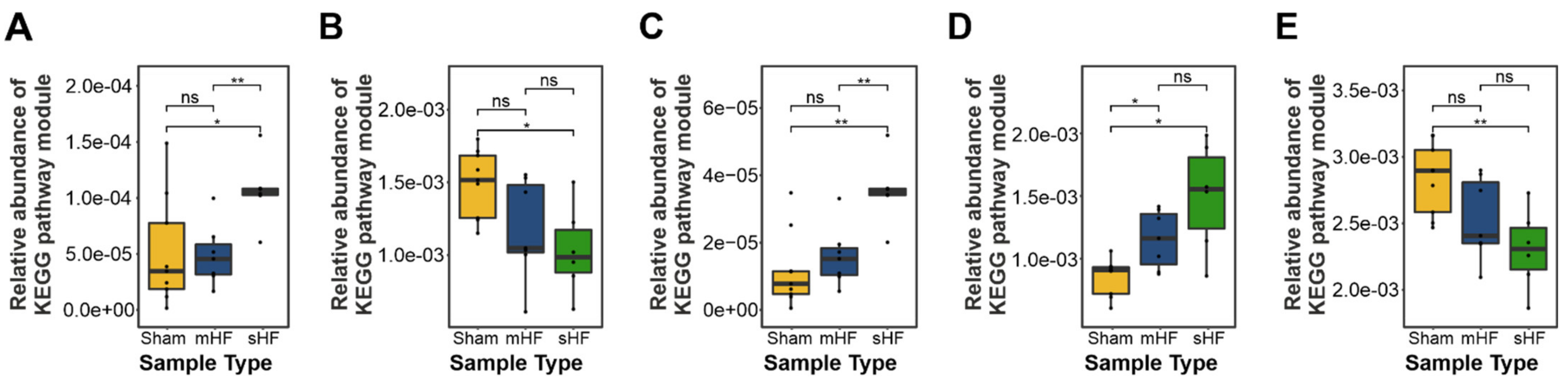 dysbiosis a bélben szimmetria platyhelminthes