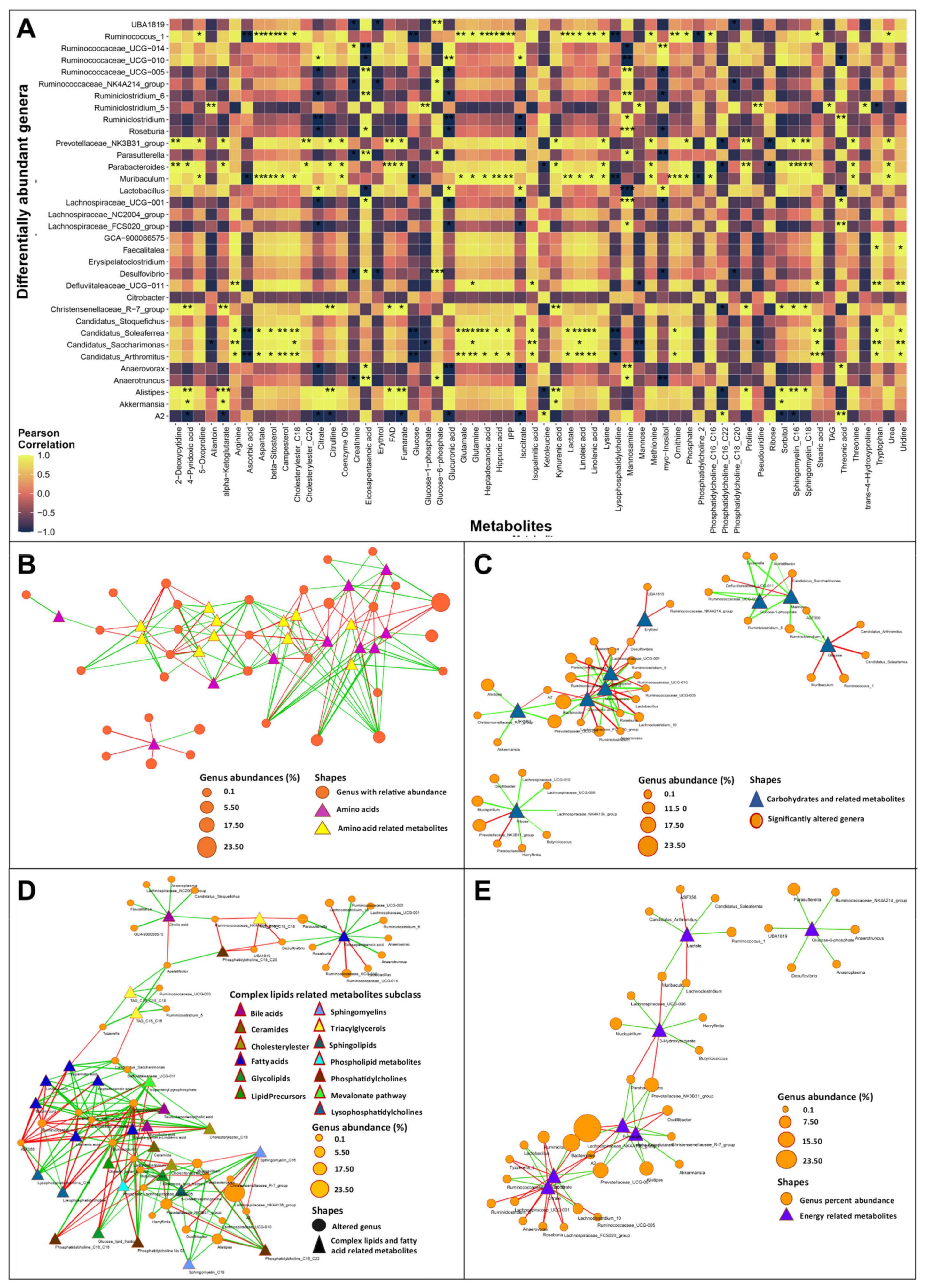 Biomedicines 10 00809 g008 Biomedicines 10 00809 g008