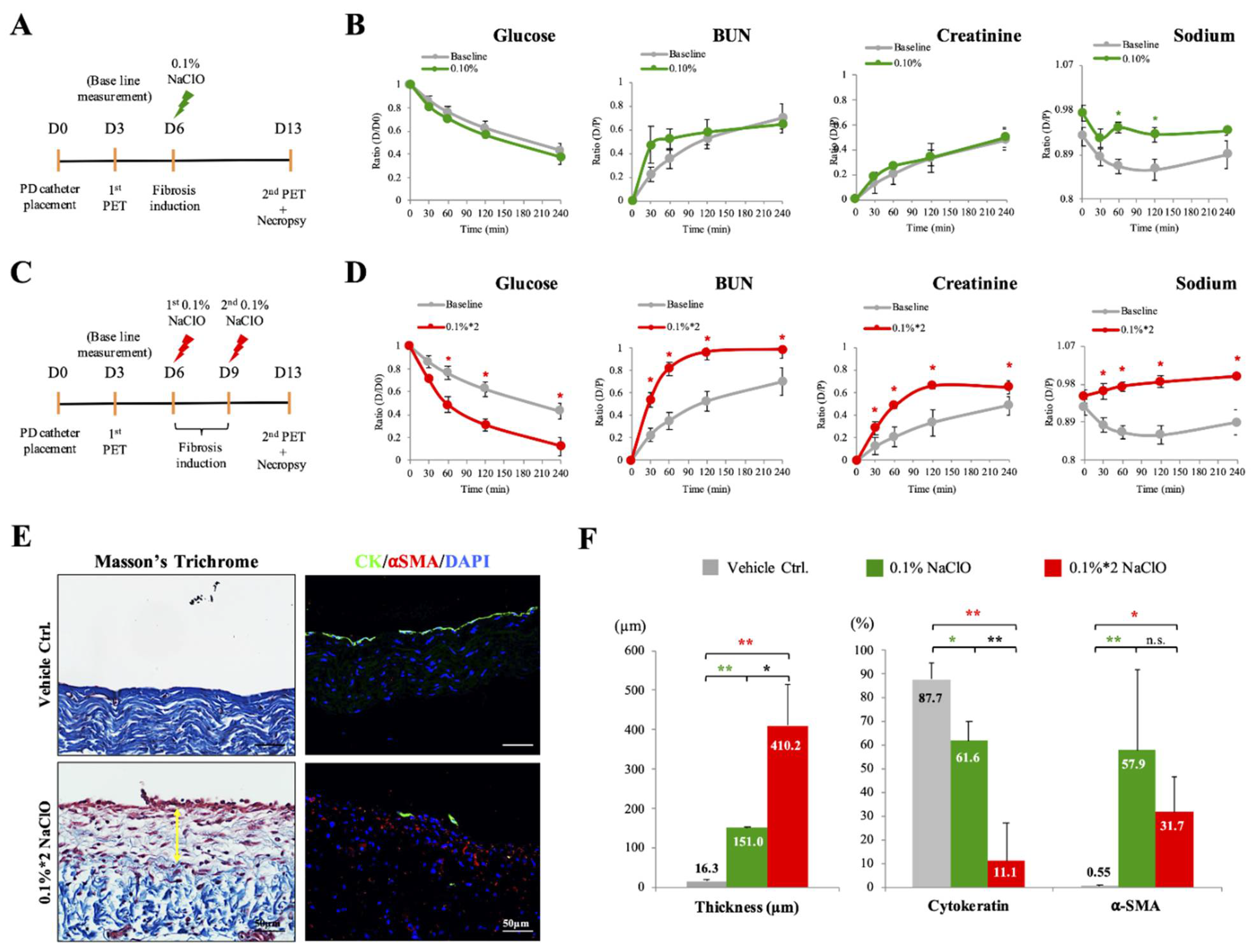 Biomedicines 10 00810 g001 550