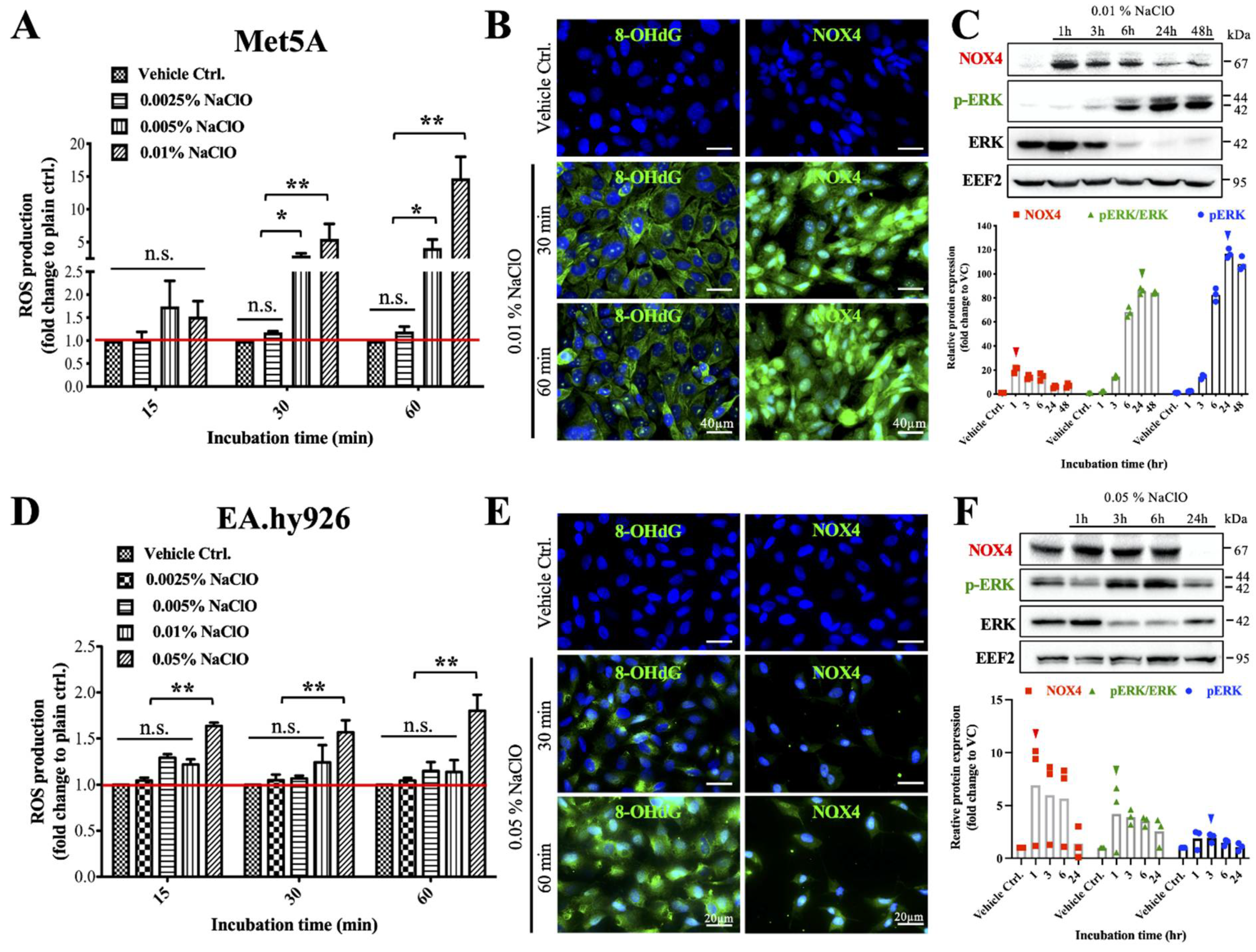 Biomedicines 10 00810 g004 550