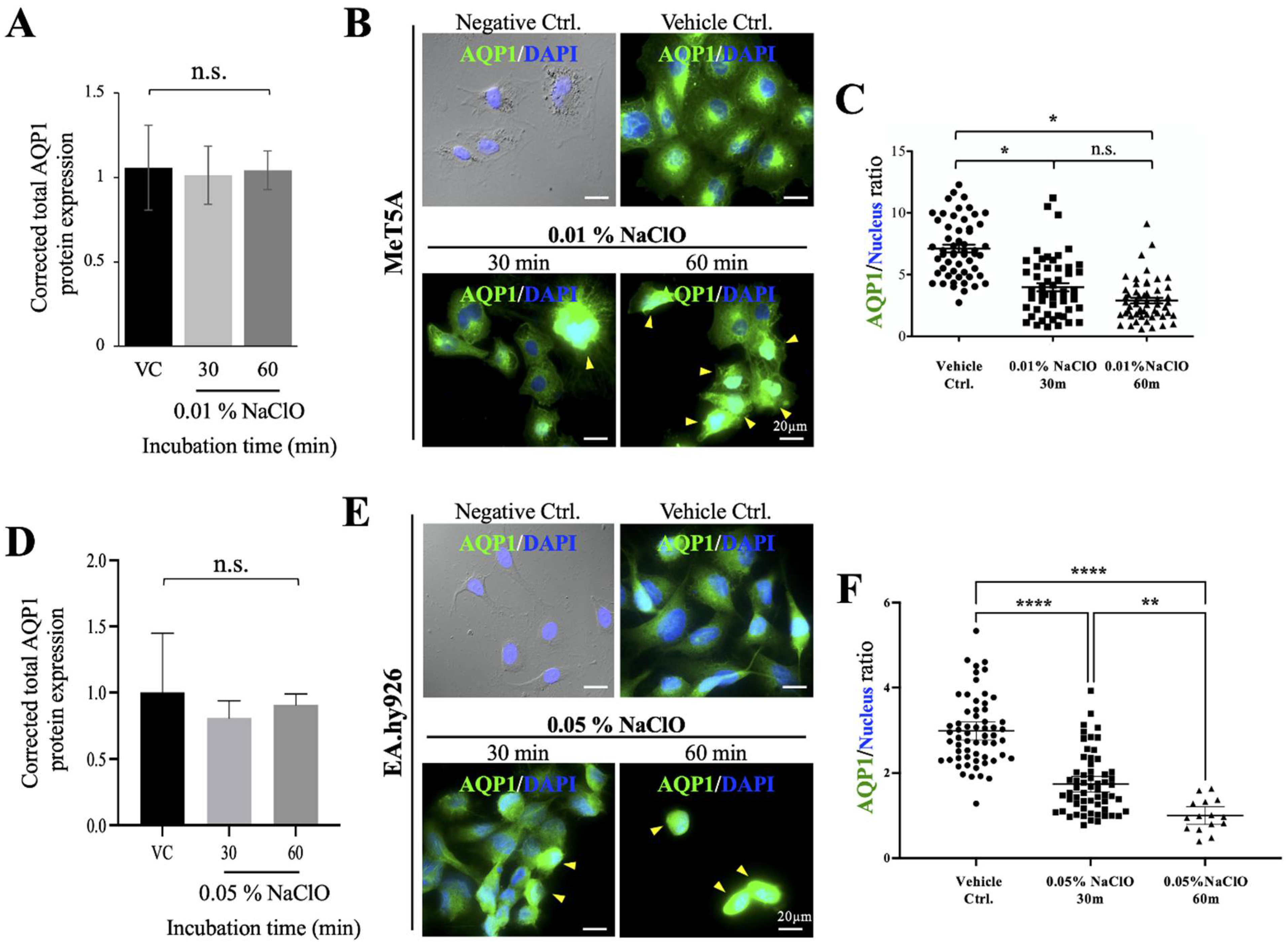Biomedicines 10 00810 g006 550
