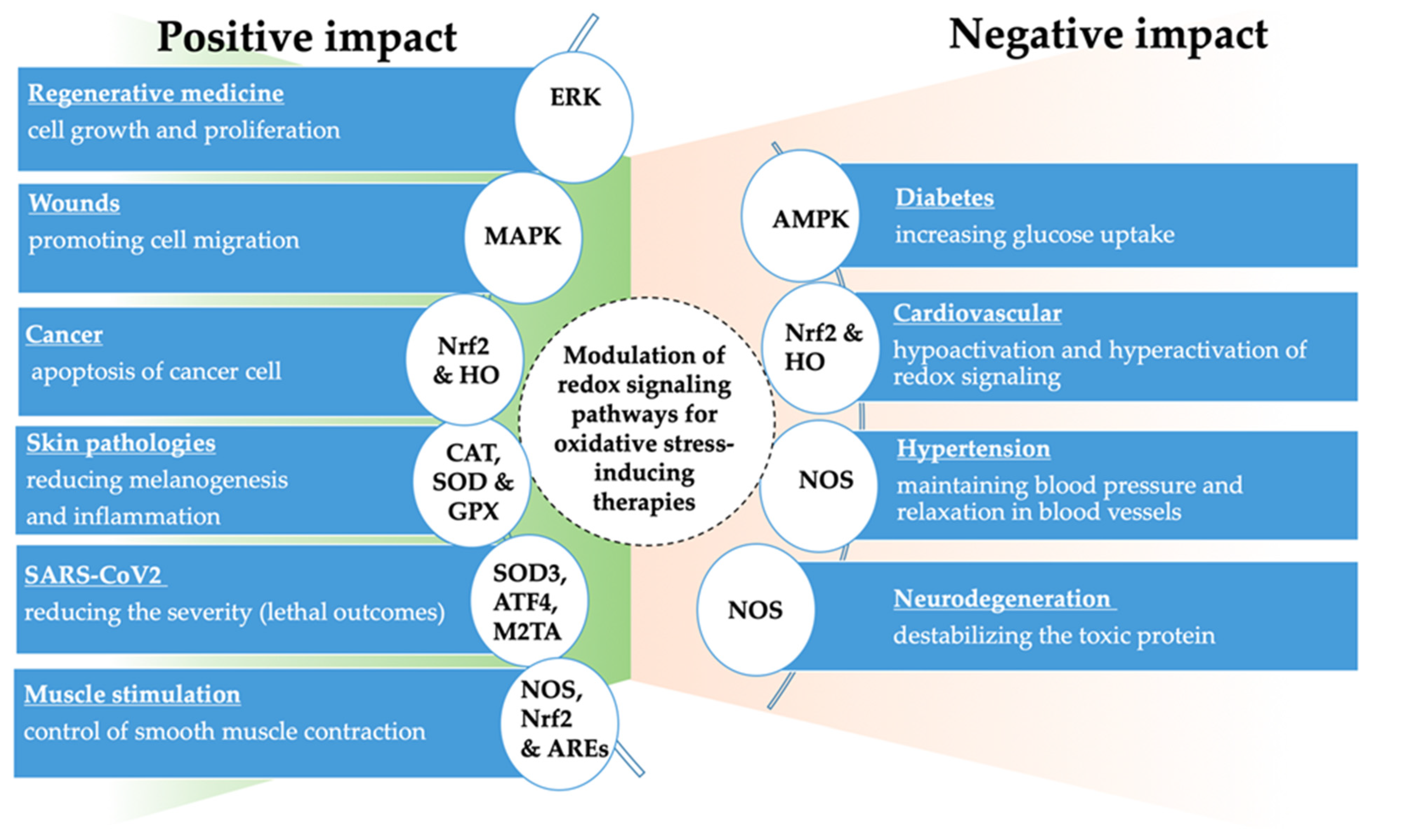 Biomedicines 10 00823 g002 Biomedicines 10 00823 g002