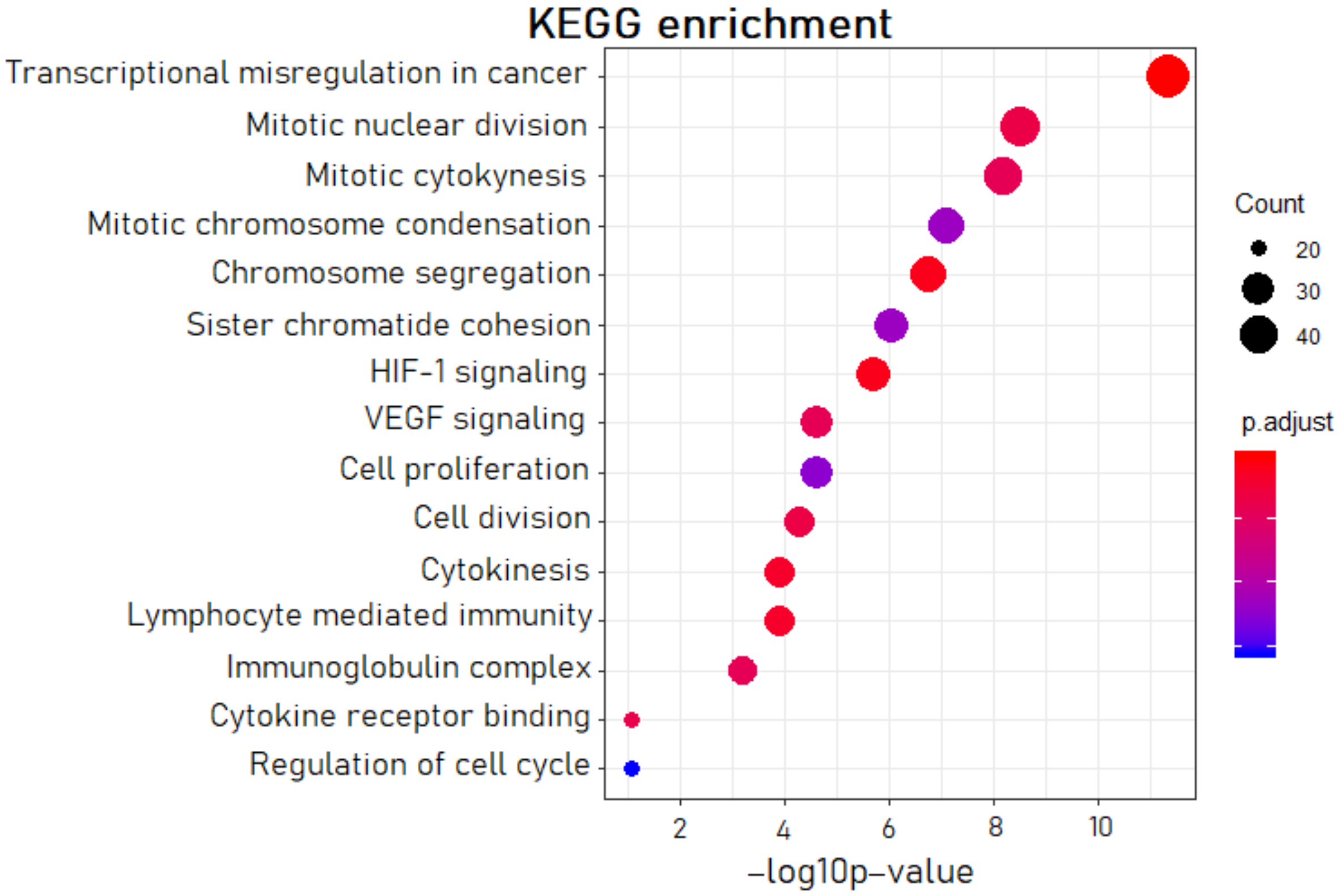 Biomedicines 10 00824 g001