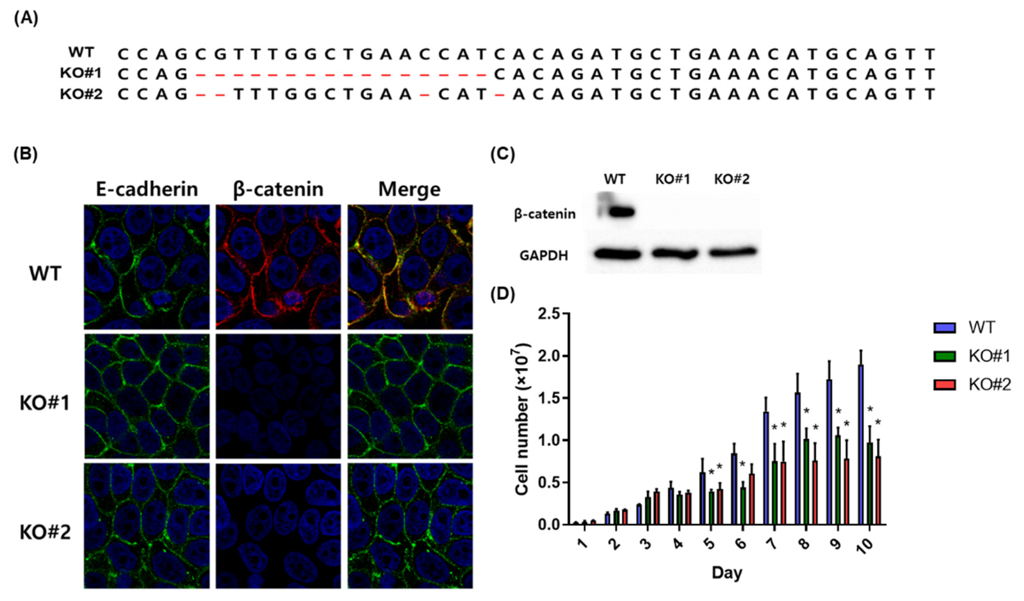 Biomedicines 10 00827 g002