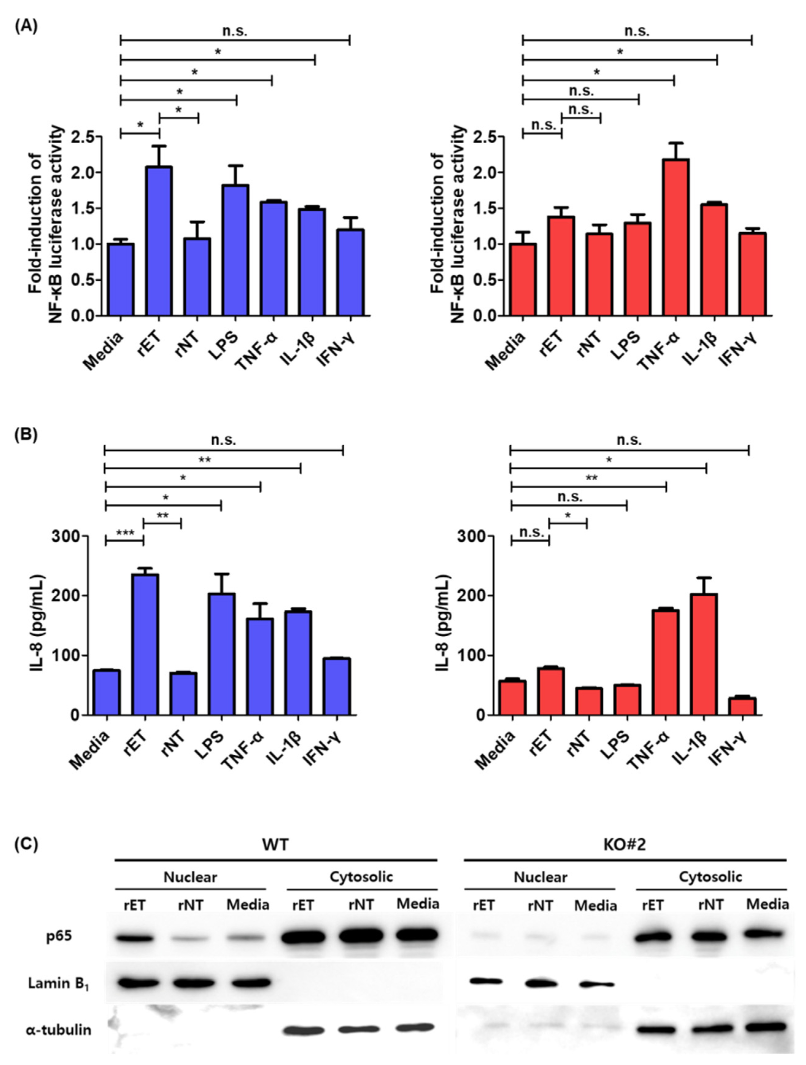 Biomedicines 10 00827 g004