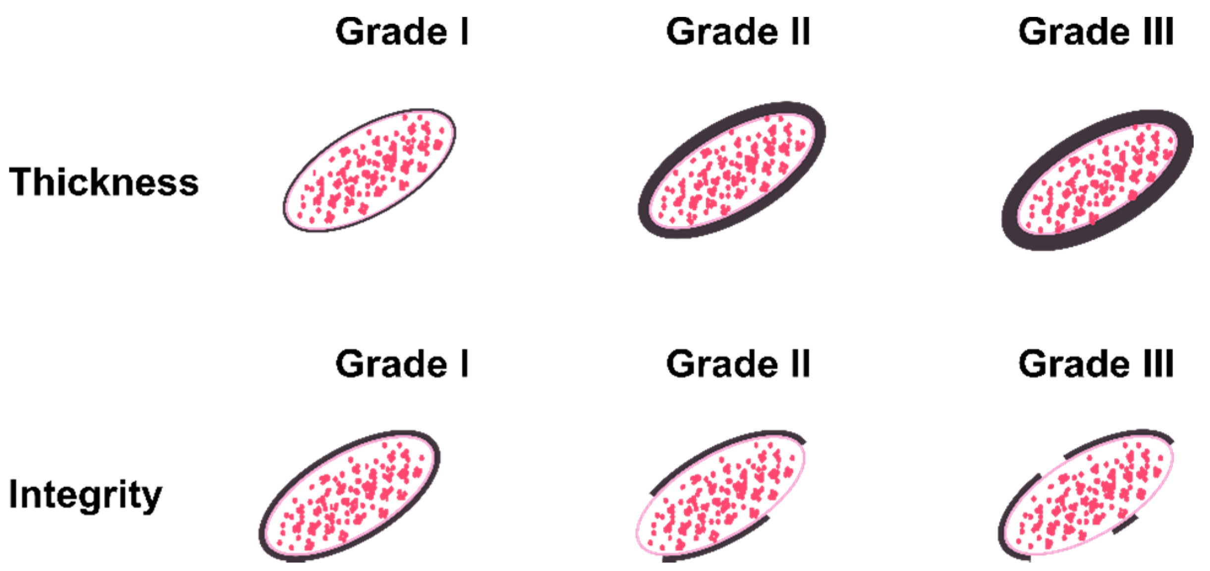 Biomedicines 10 00830 g001