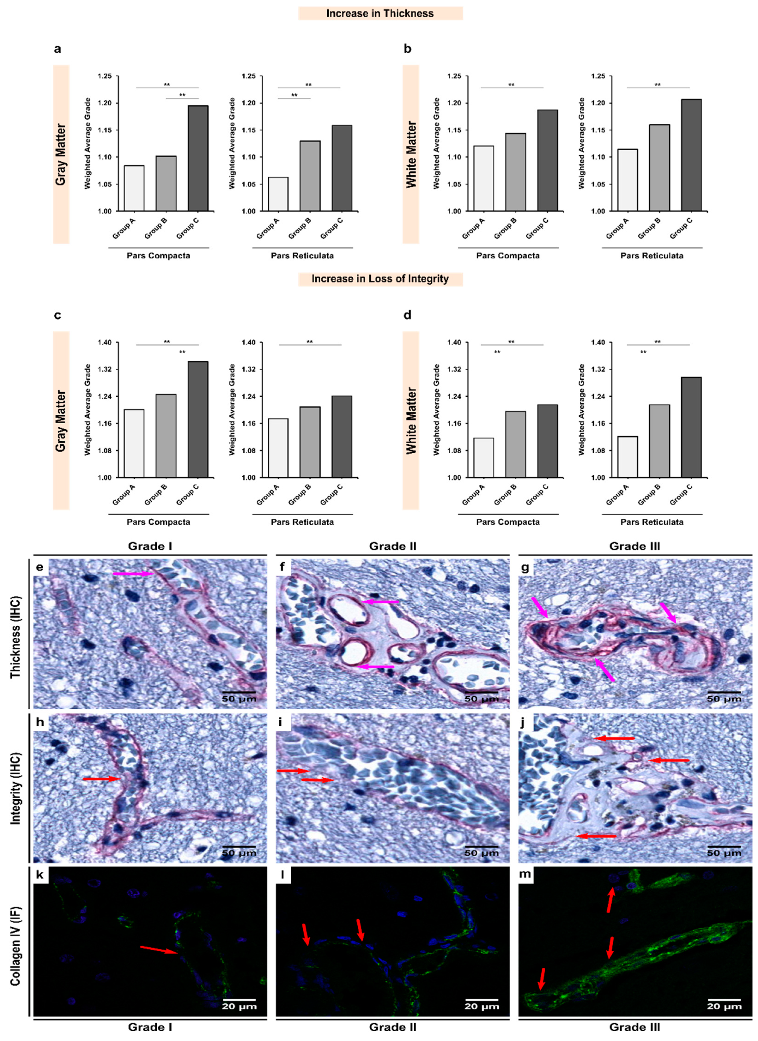 Biomedicines 10 00830 g003
