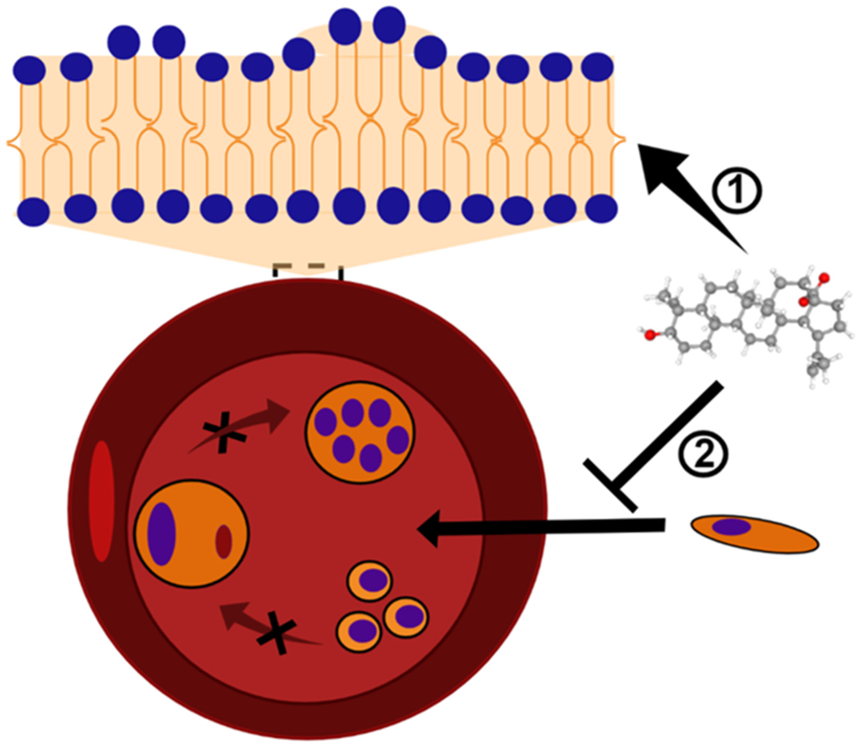 Biomedicines 10 00831 g002 Biomedicines 10 00831 g002