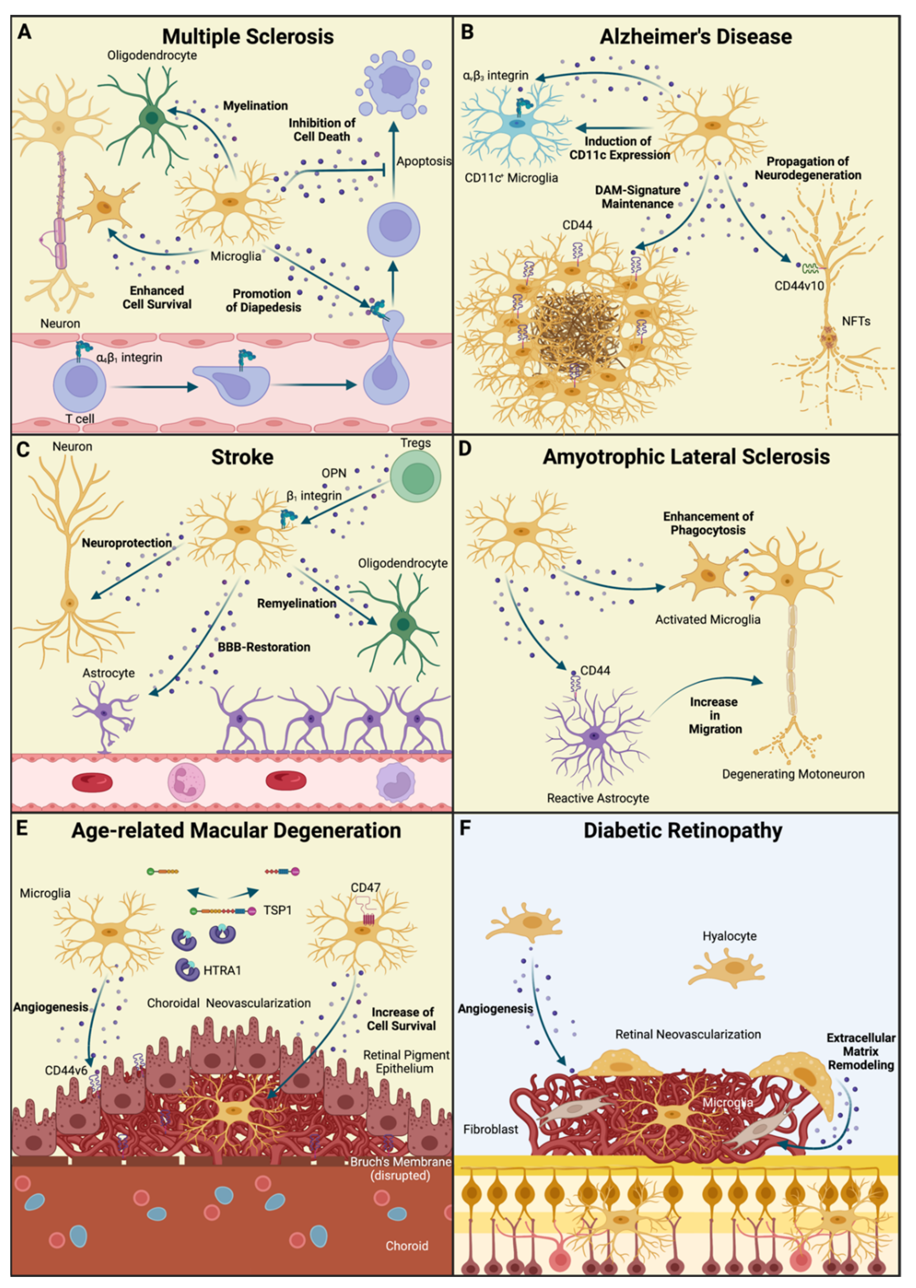 Biomedicines 10 00840 g003 Biomedicines 10 00840 g003