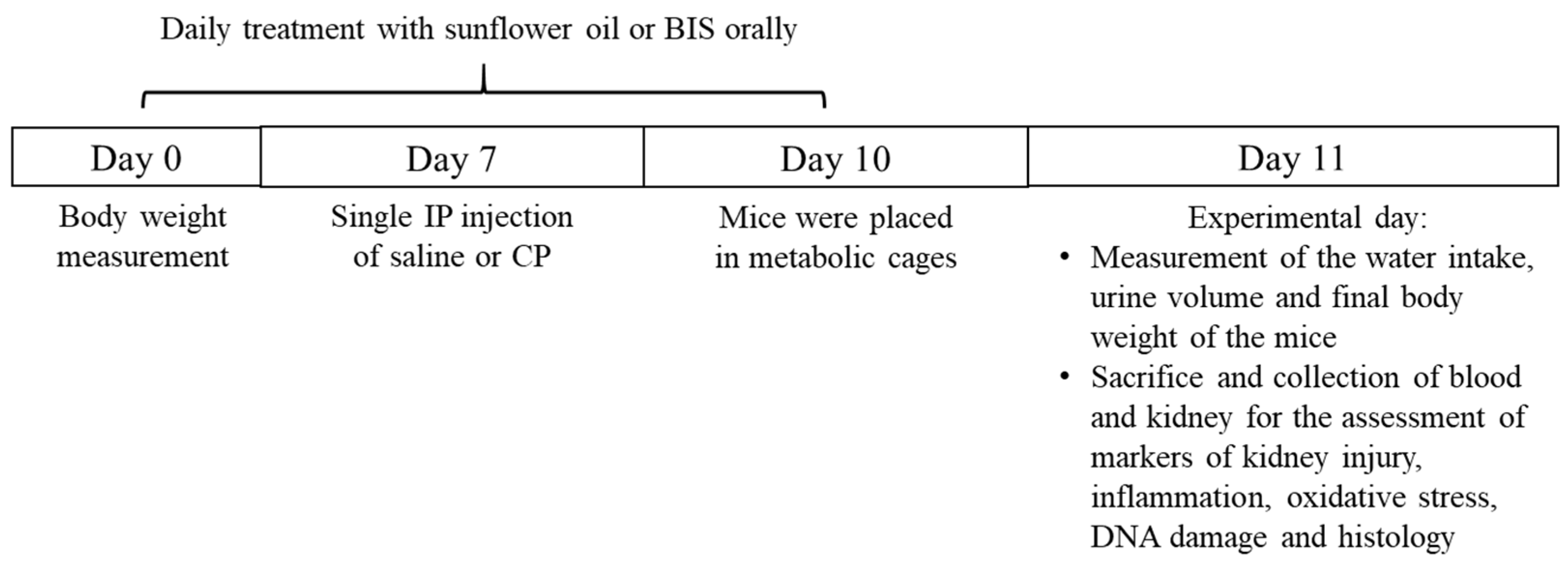Biomedicines 10 00842 g001 550