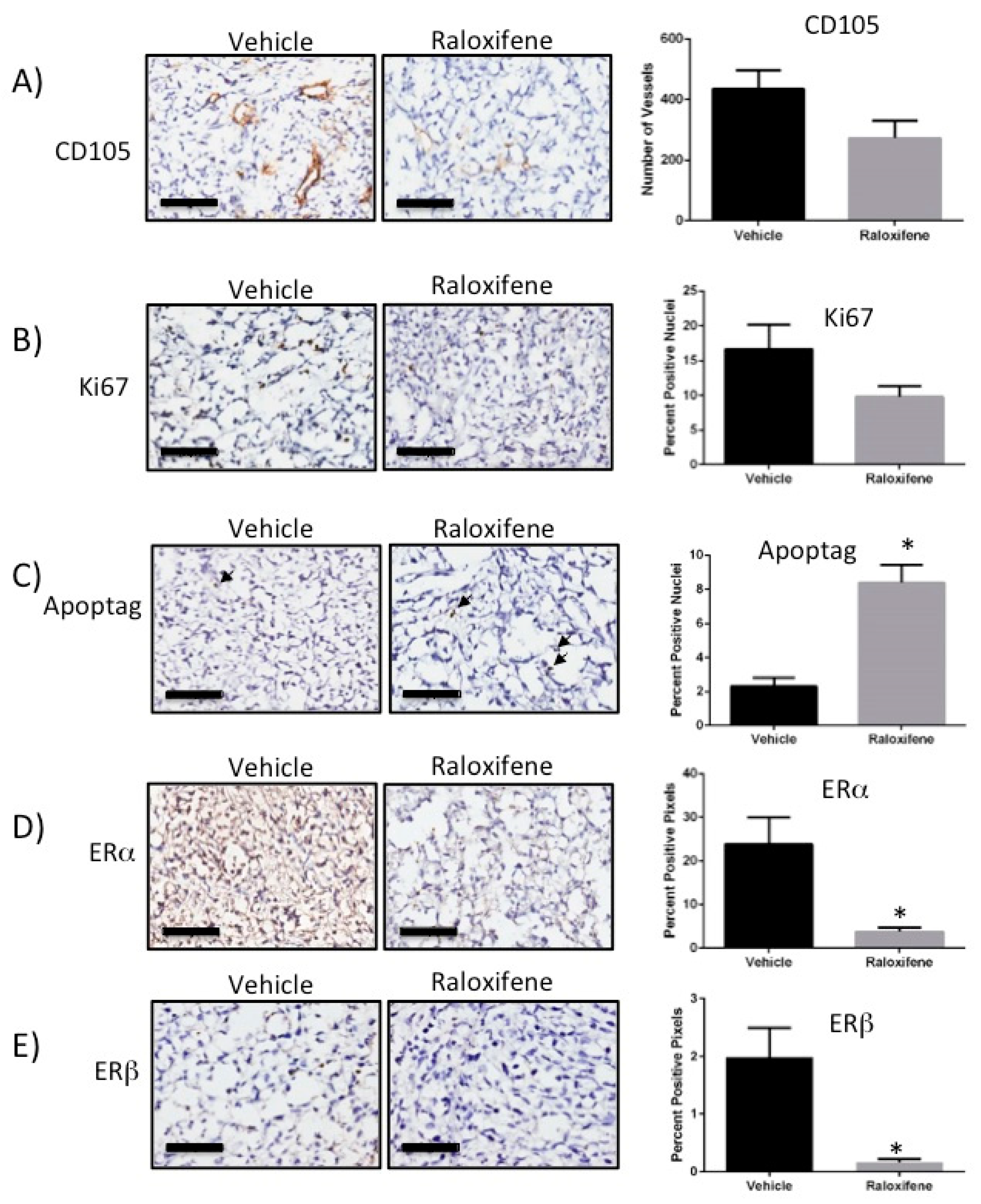 Biomedicines 10 00853 g004