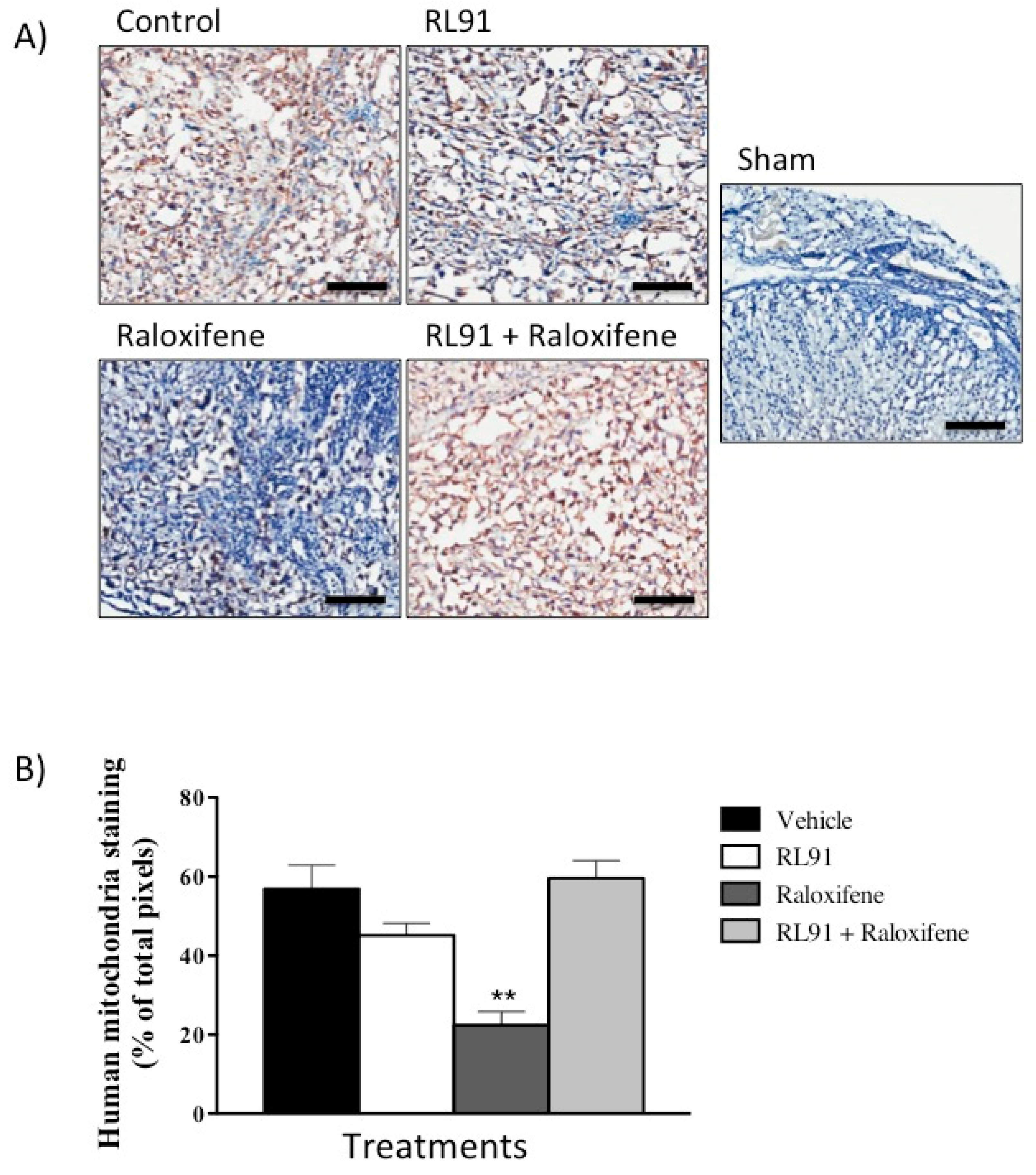 Biomedicines 10 00853 g006
