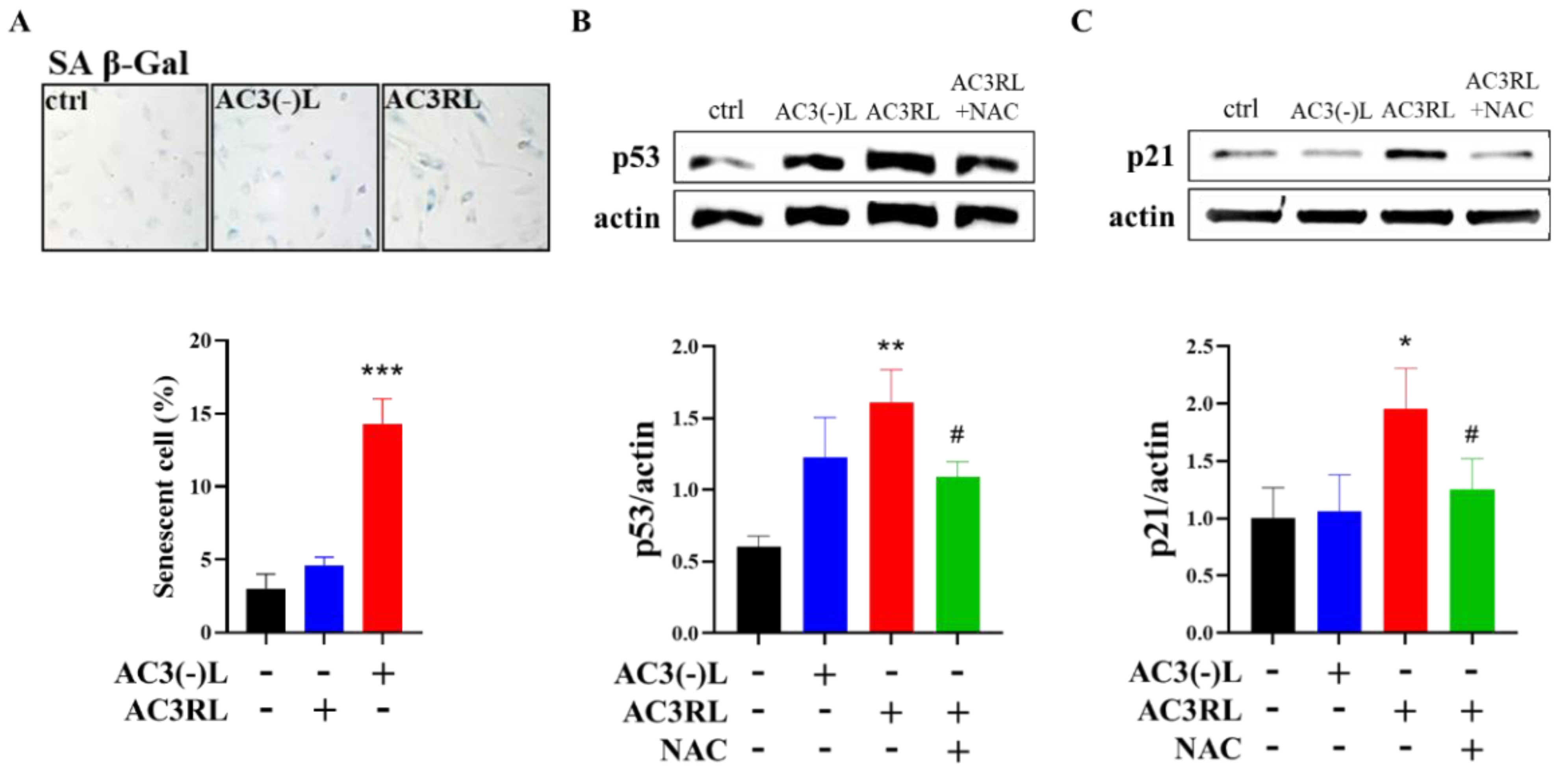 Biomedicines 10 00854 g001
