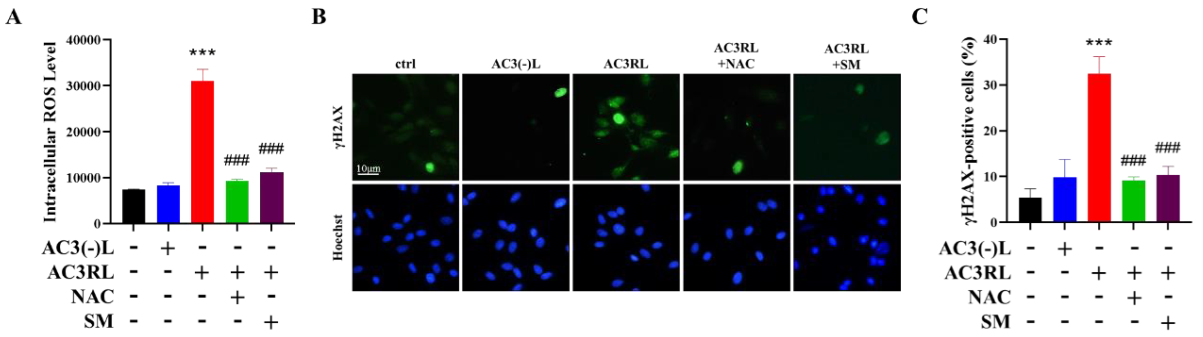Biomedicines 10 00854 g002