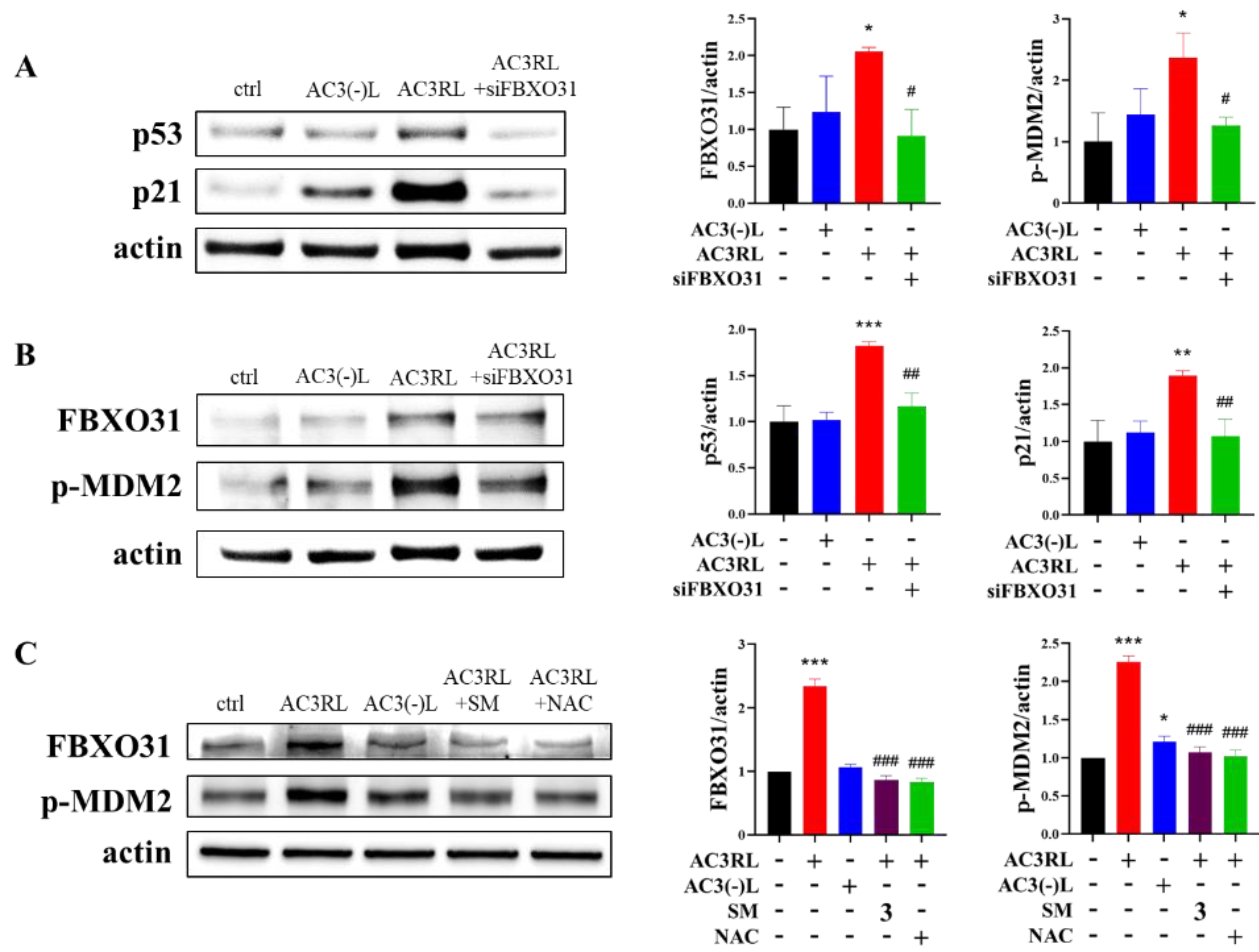Biomedicines 10 00854 g004