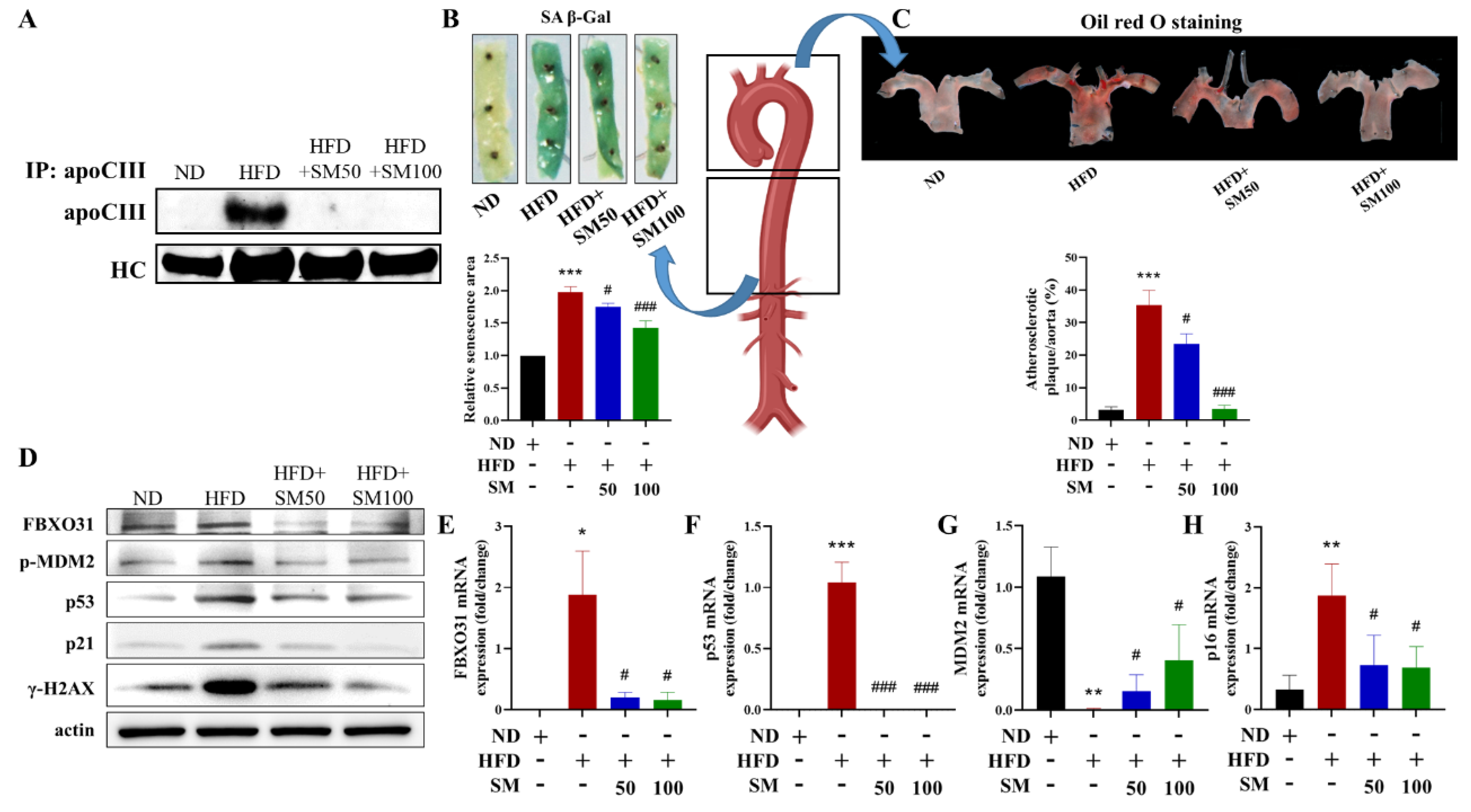 Biomedicines 10 00854 g005