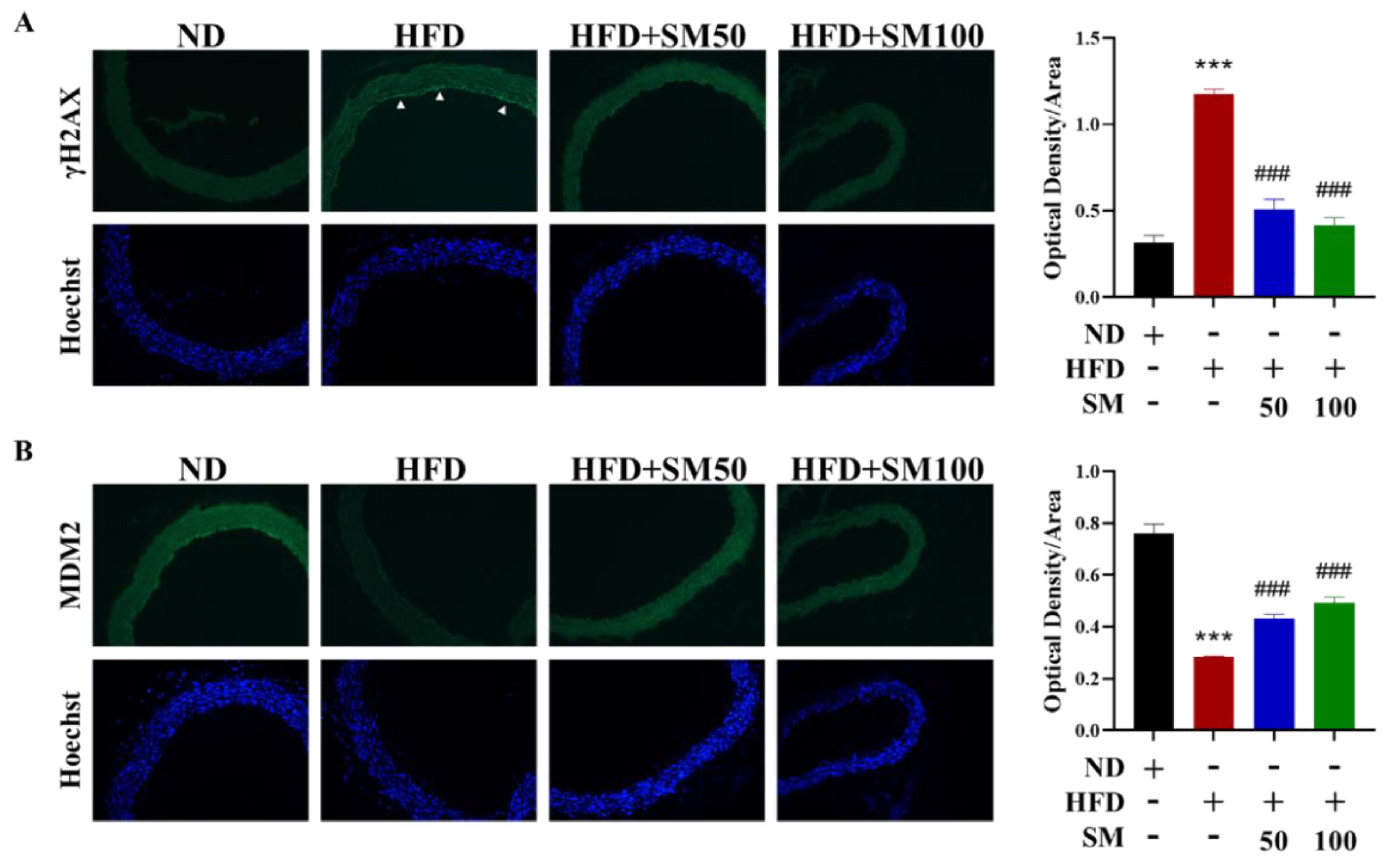 Biomedicines 10 00854 g006