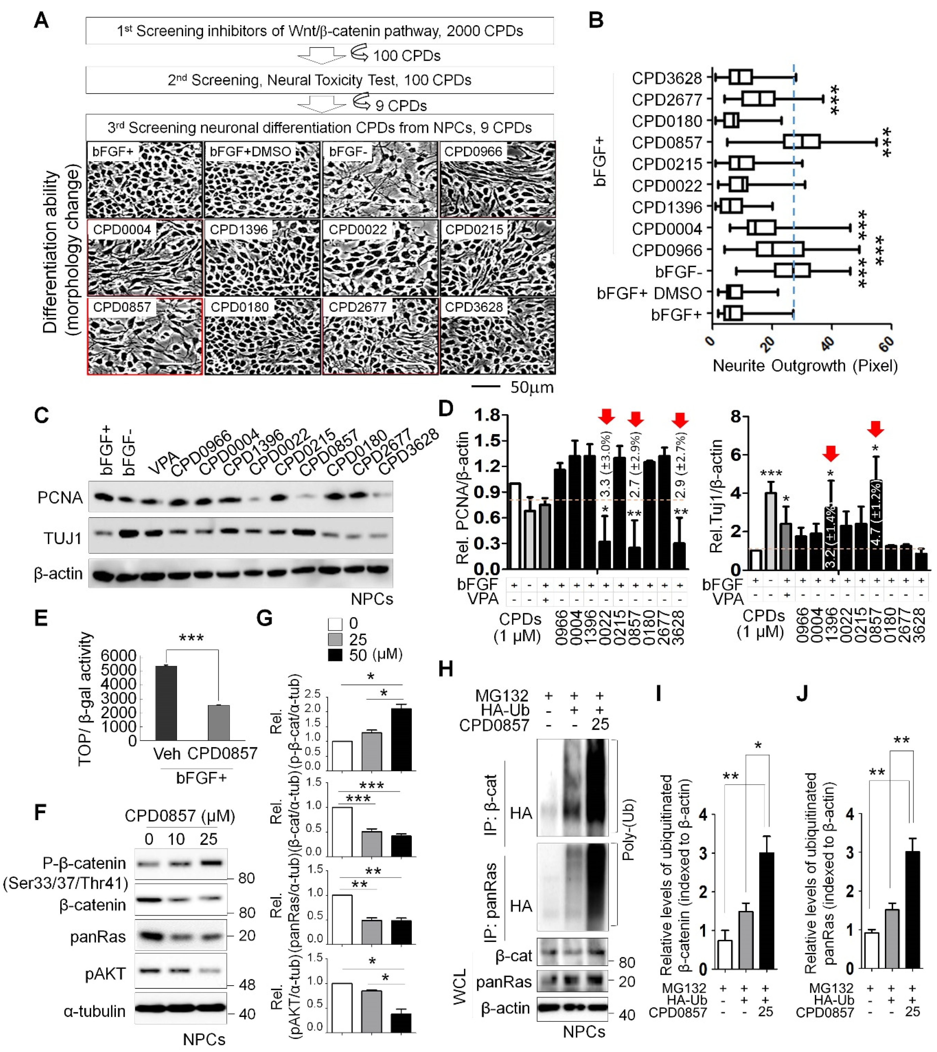 Biomedicines 10 00859 g001