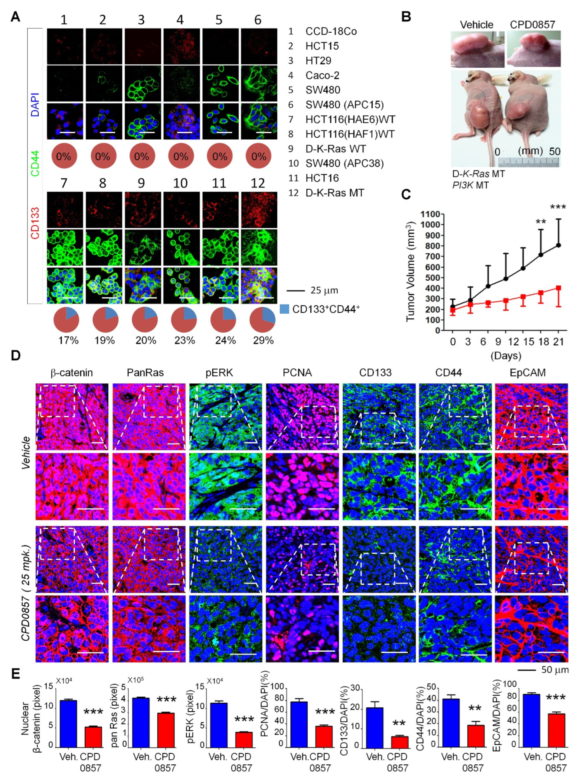 Biomedicines 10 00859 g004