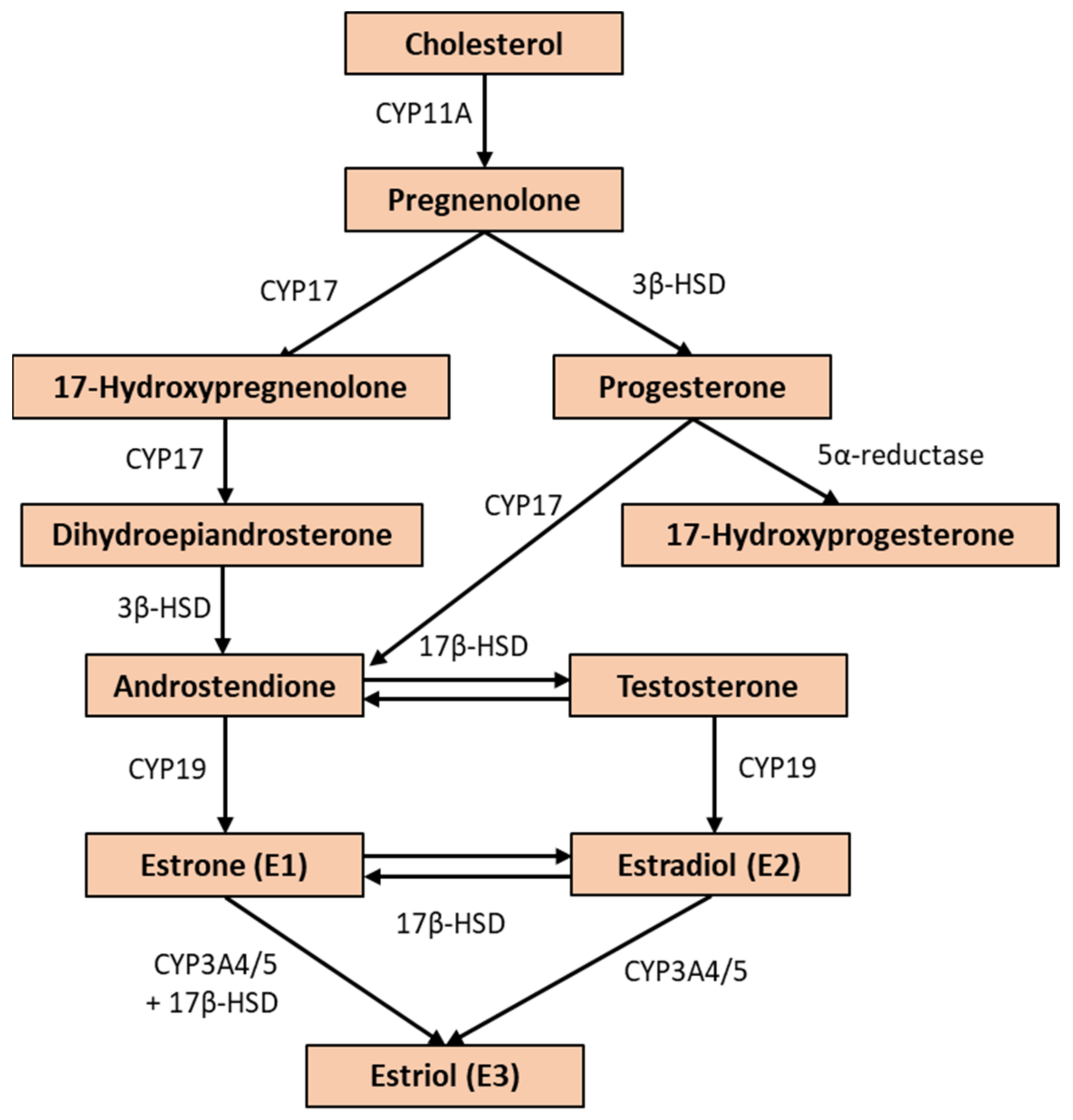 Biomedicines 10 00861 g003 Biomedicines 10 00861 g003