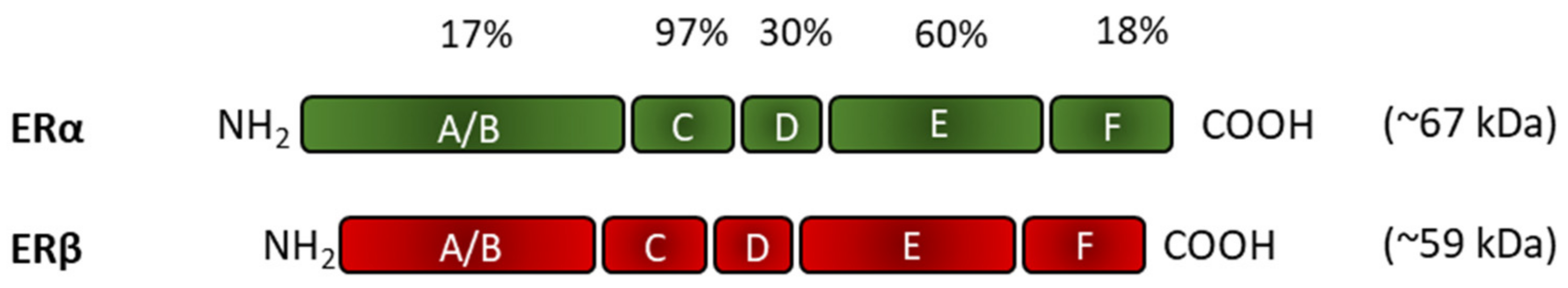 Biomedicines 10 00861 g004 Biomedicines 10 00861 g004