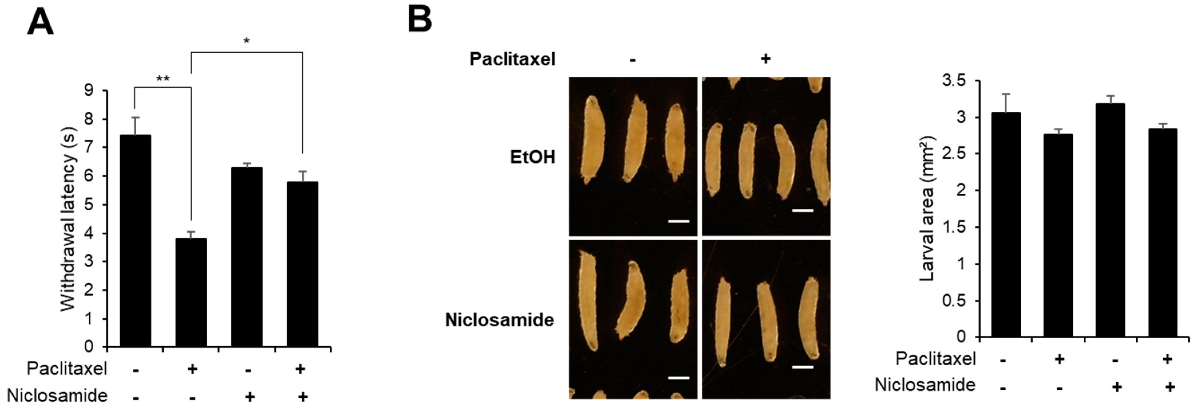 Biomedicines 10 00863 g001 550