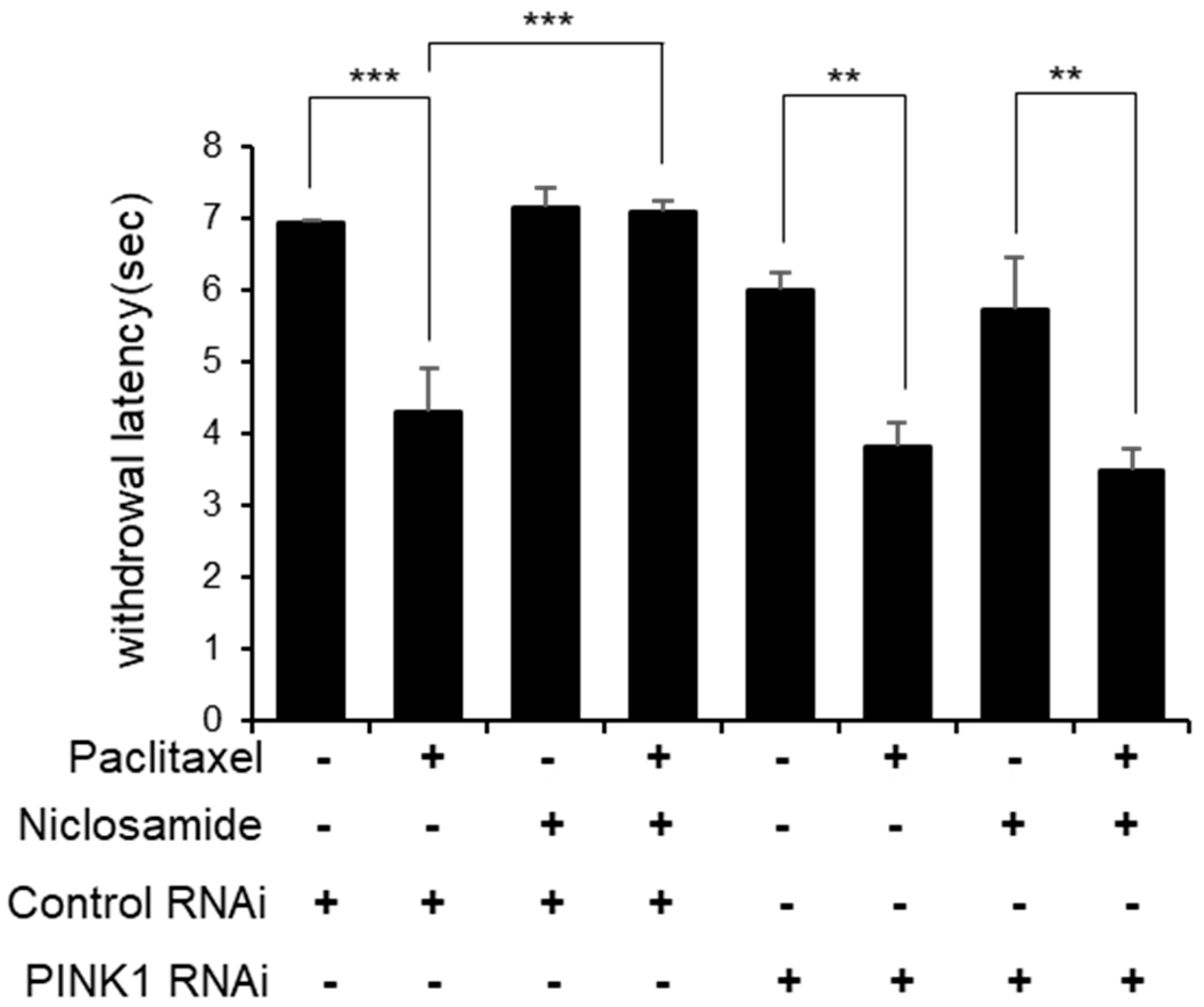 Biomedicines 10 00863 g002 550