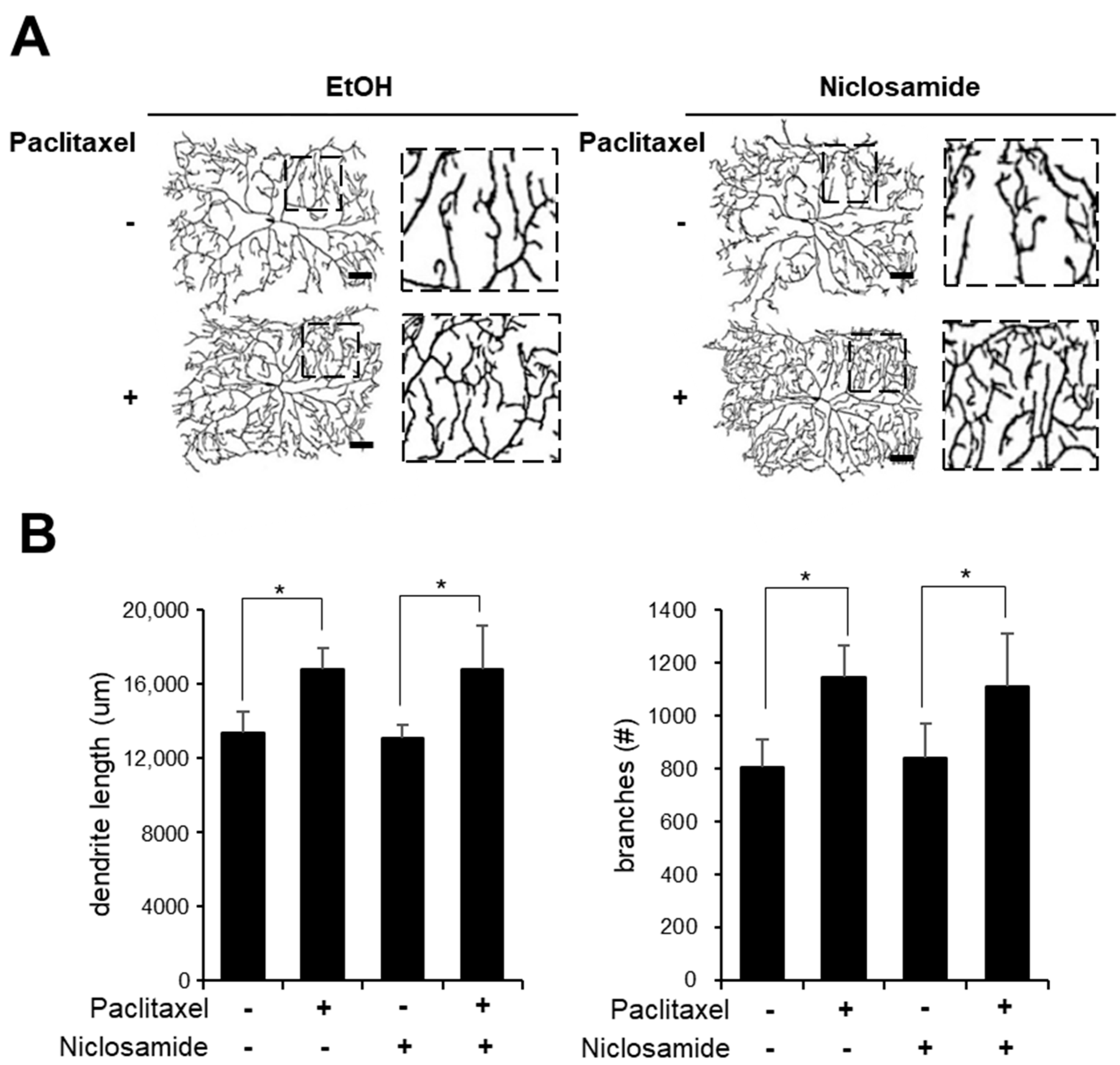 Biomedicines 10 00863 g003 550
