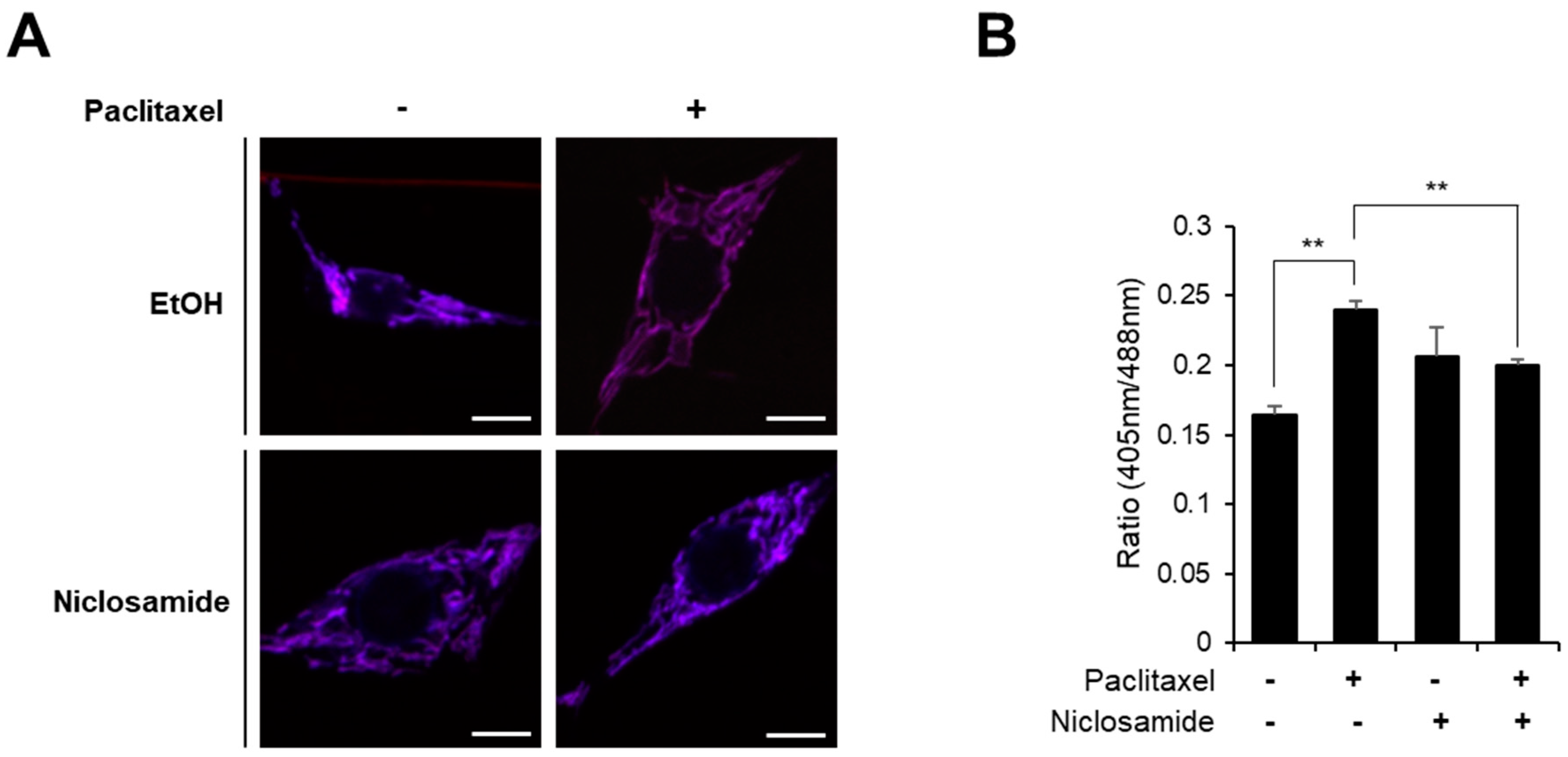 Biomedicines 10 00863 g004 550