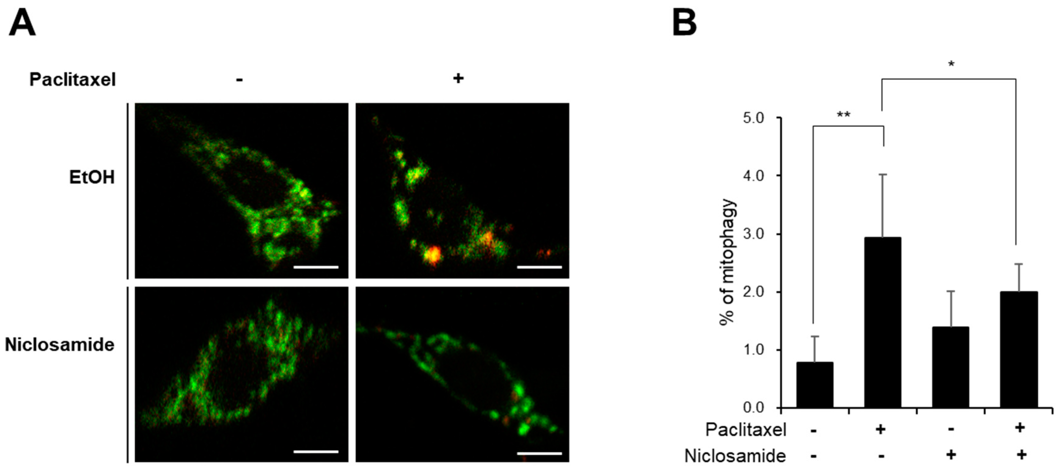Biomedicines 10 00863 g005 550
