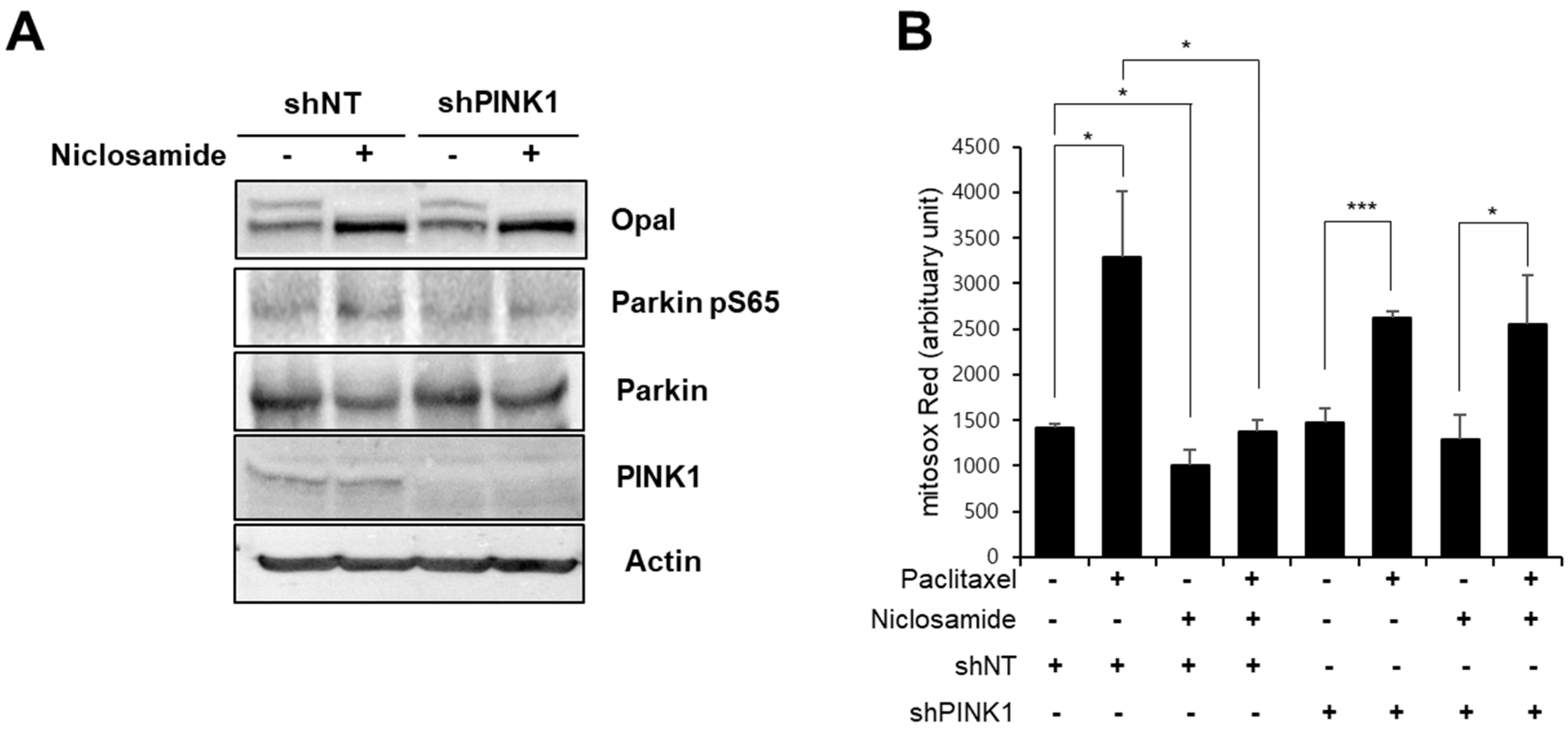 Biomedicines 10 00863 g006 550