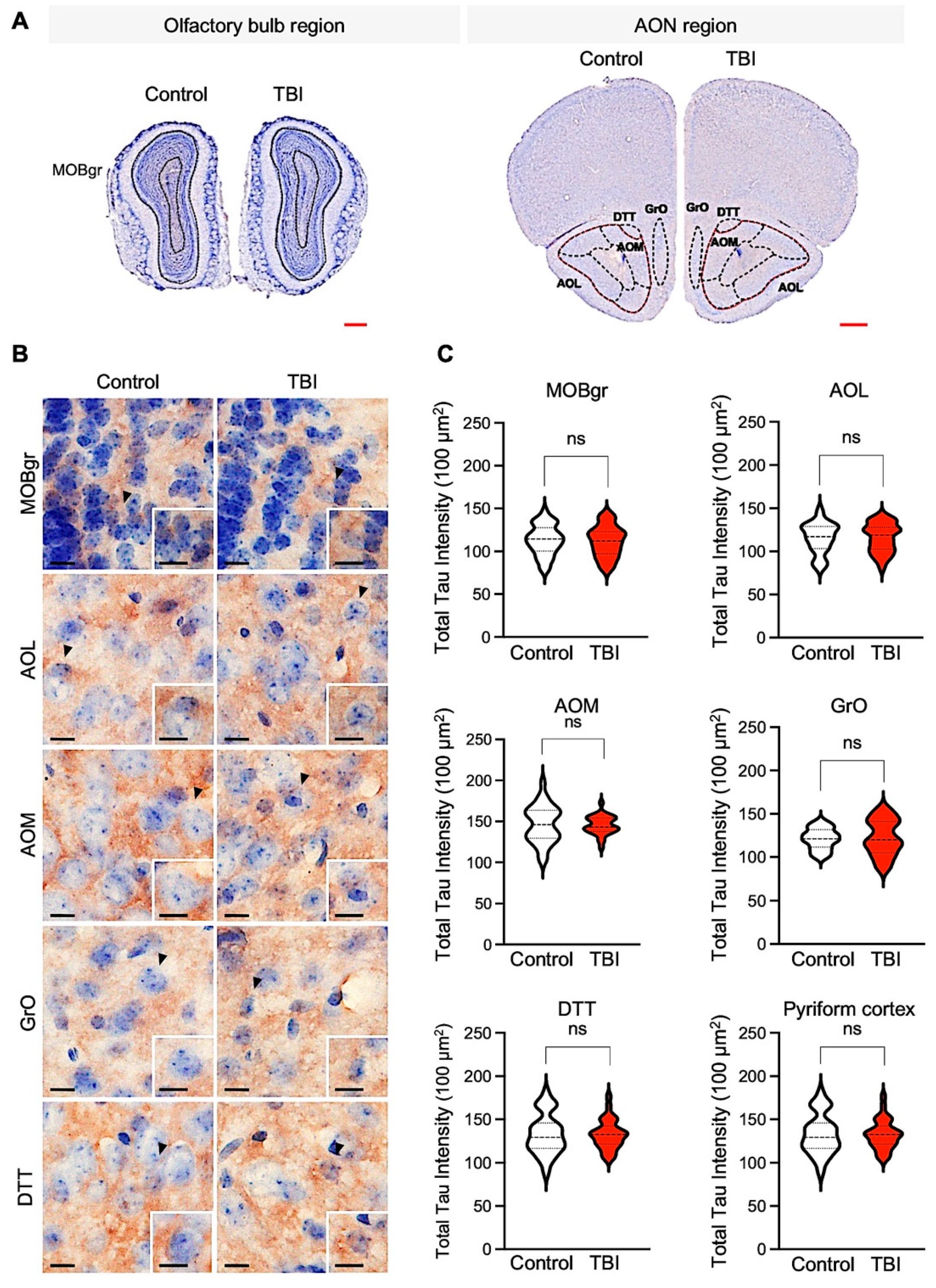 Biomedicines 10 00865 g004