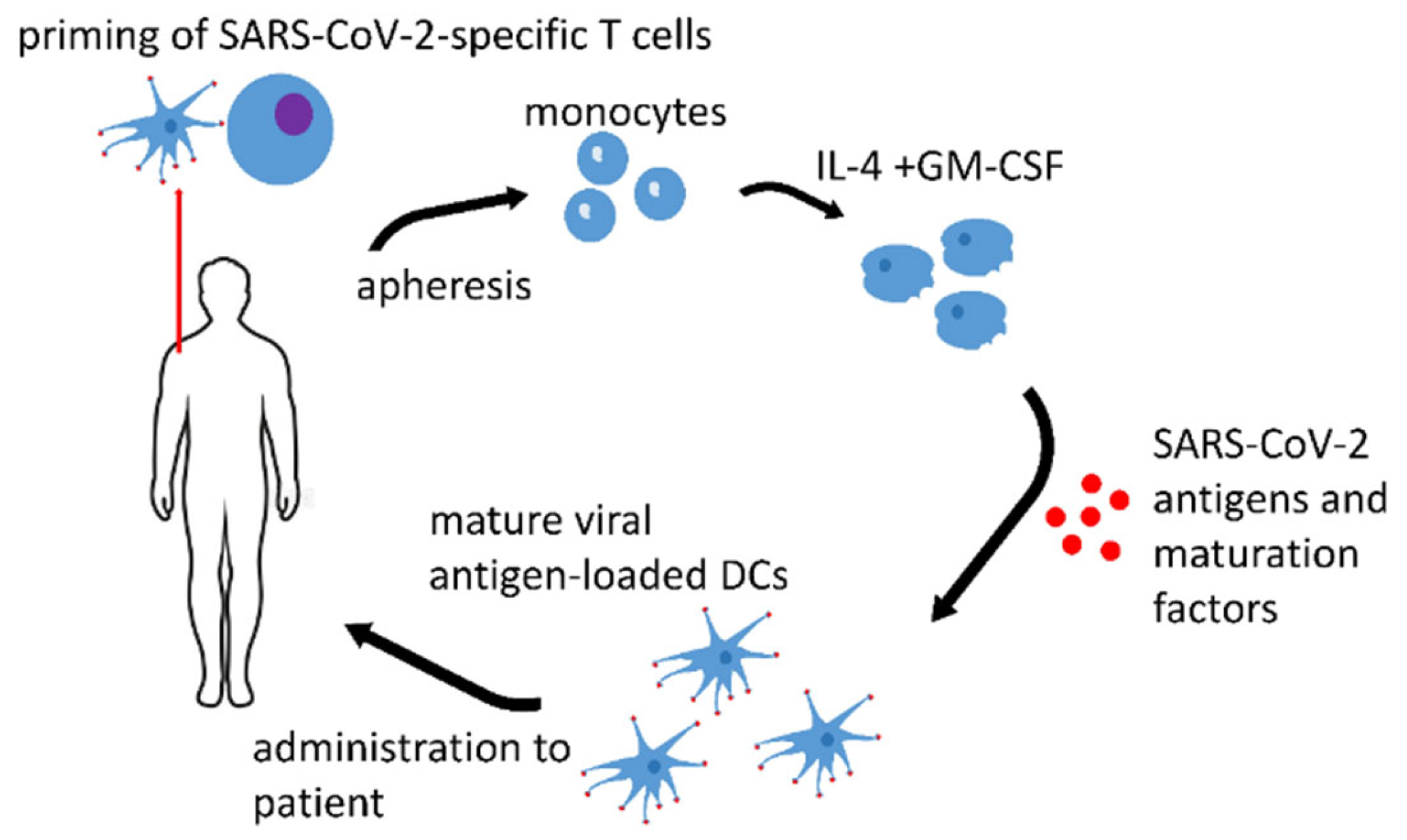 Biomedicines 10 00868 g001 Biomedicines 10 00868 g001