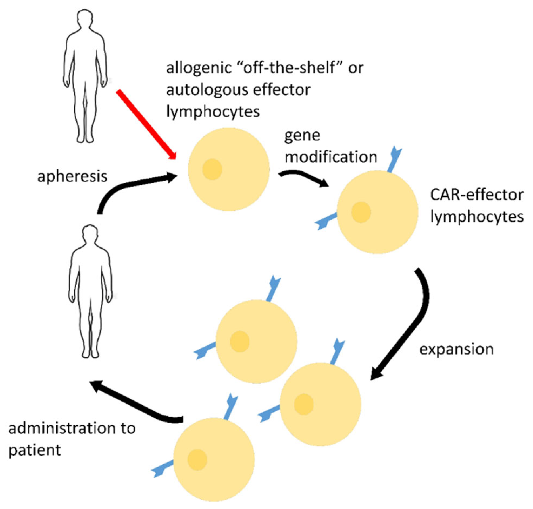 Biomedicines 10 00868 g002 Biomedicines 10 00868 g002