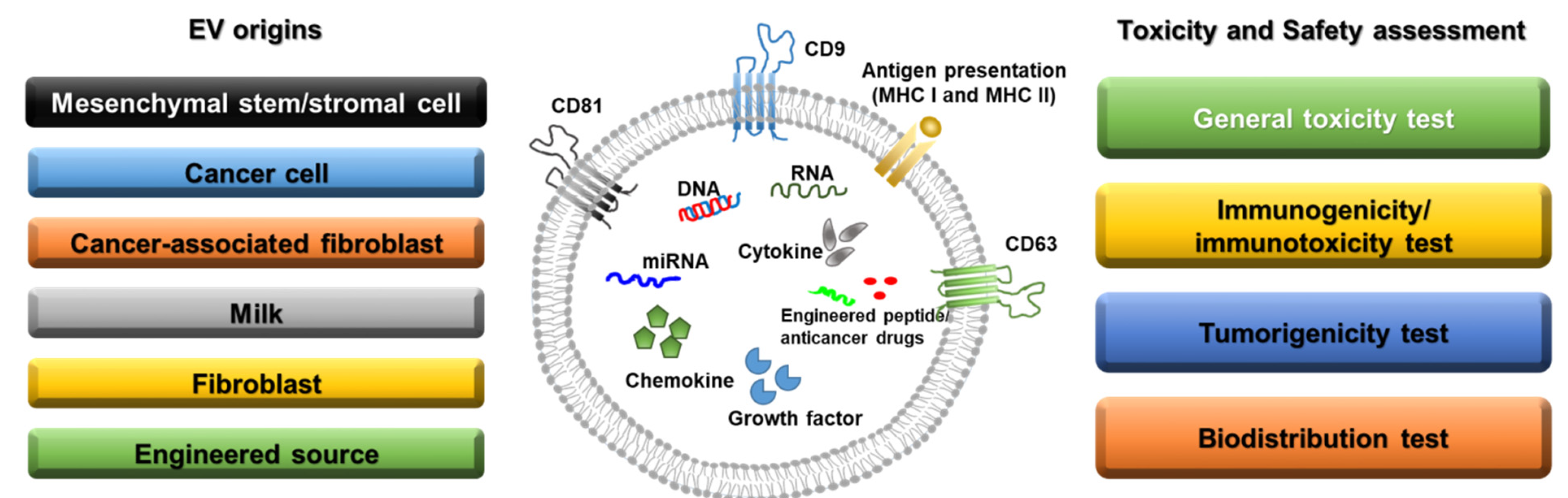 Biomedicines 10 00869 g001 550