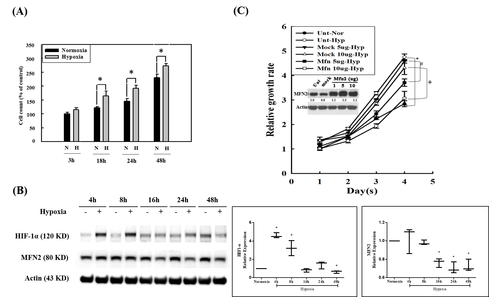 Biomedicines 10 00873 g001 Biomedicines 10 00873 g001