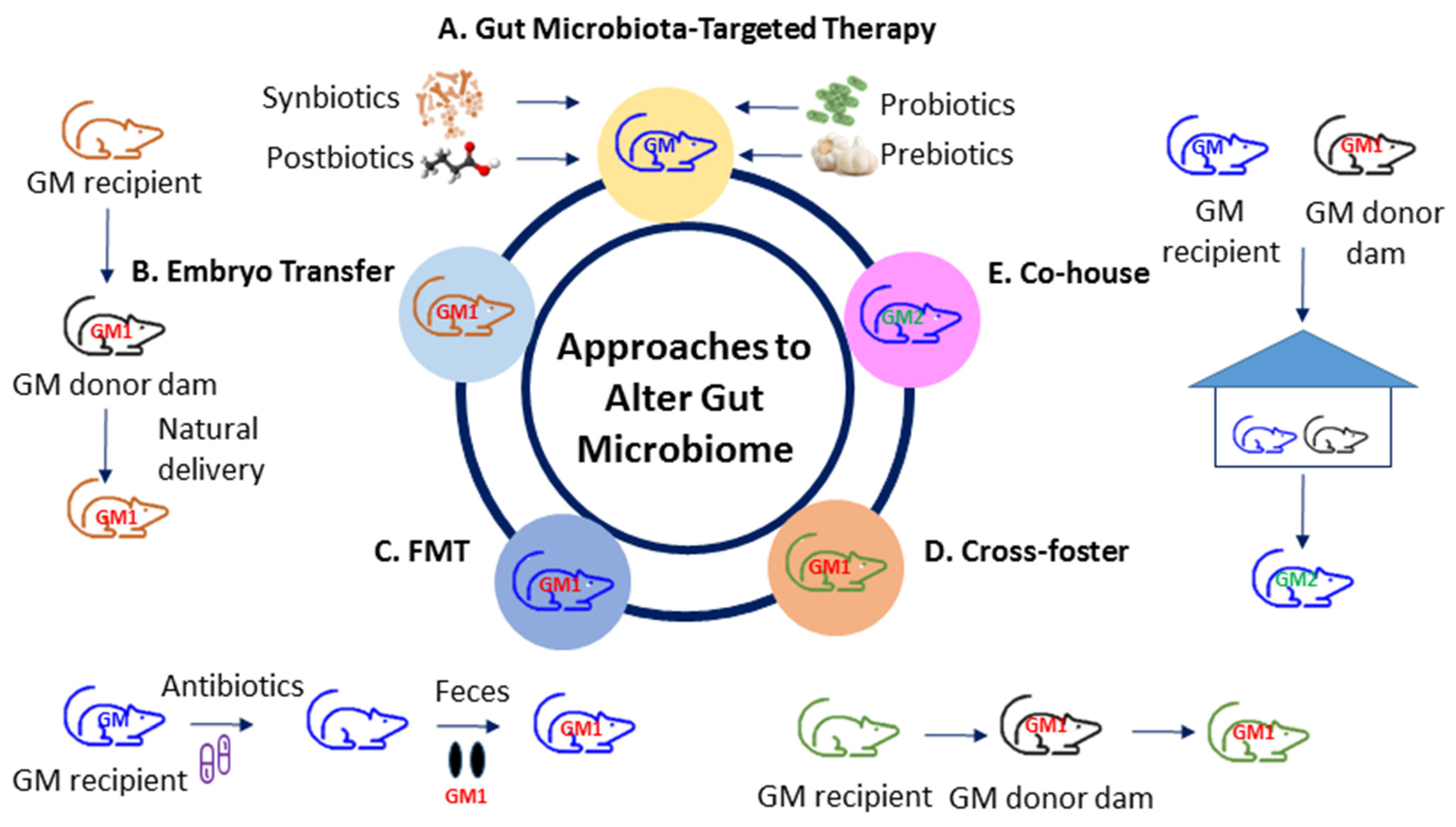 Biomedicines 10 00875 g002