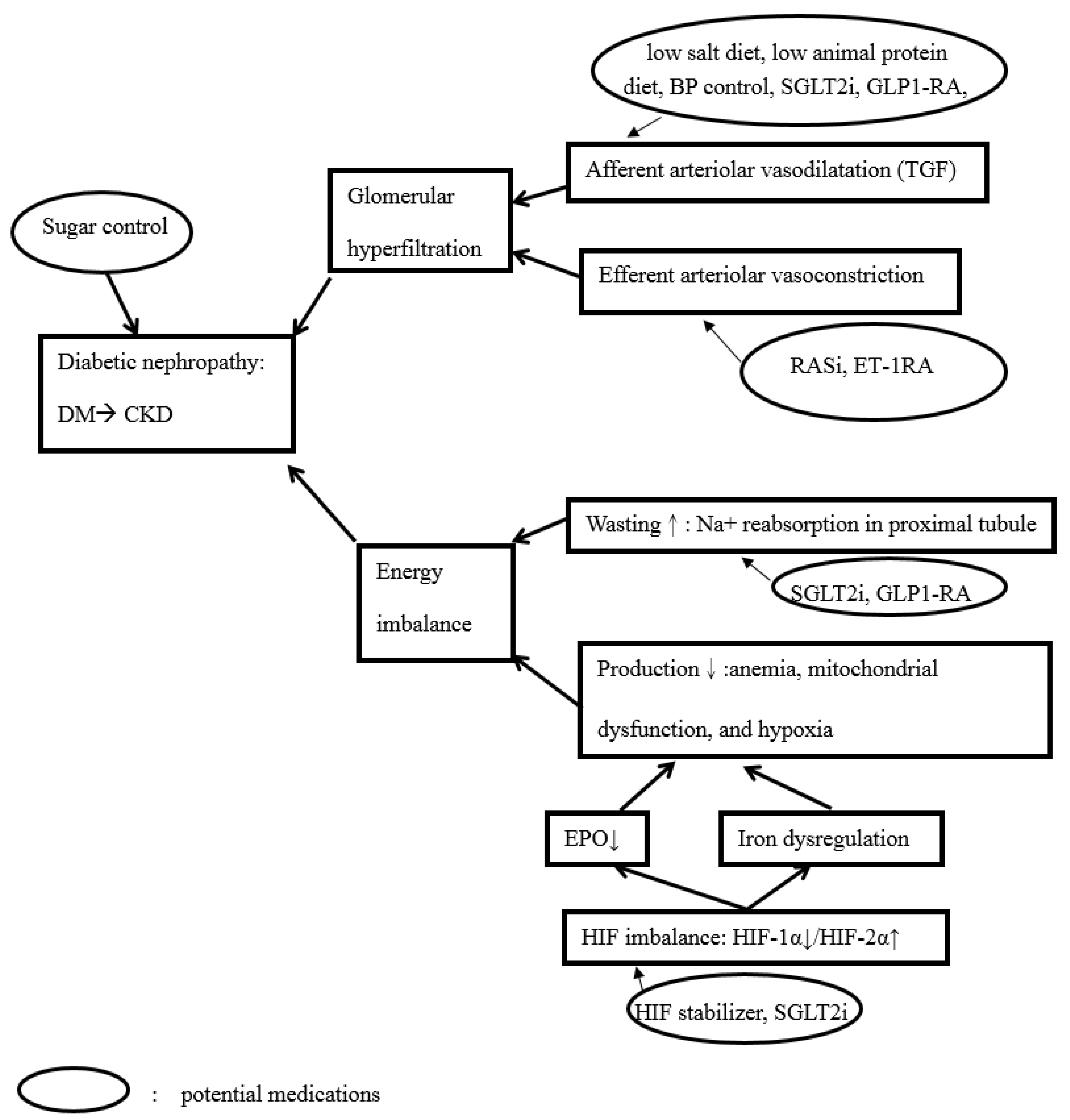New Approaches to Diabetic Nephropathy from Bed to Bench New Approaches to Diabetic Nephropathy from Bed to Bench