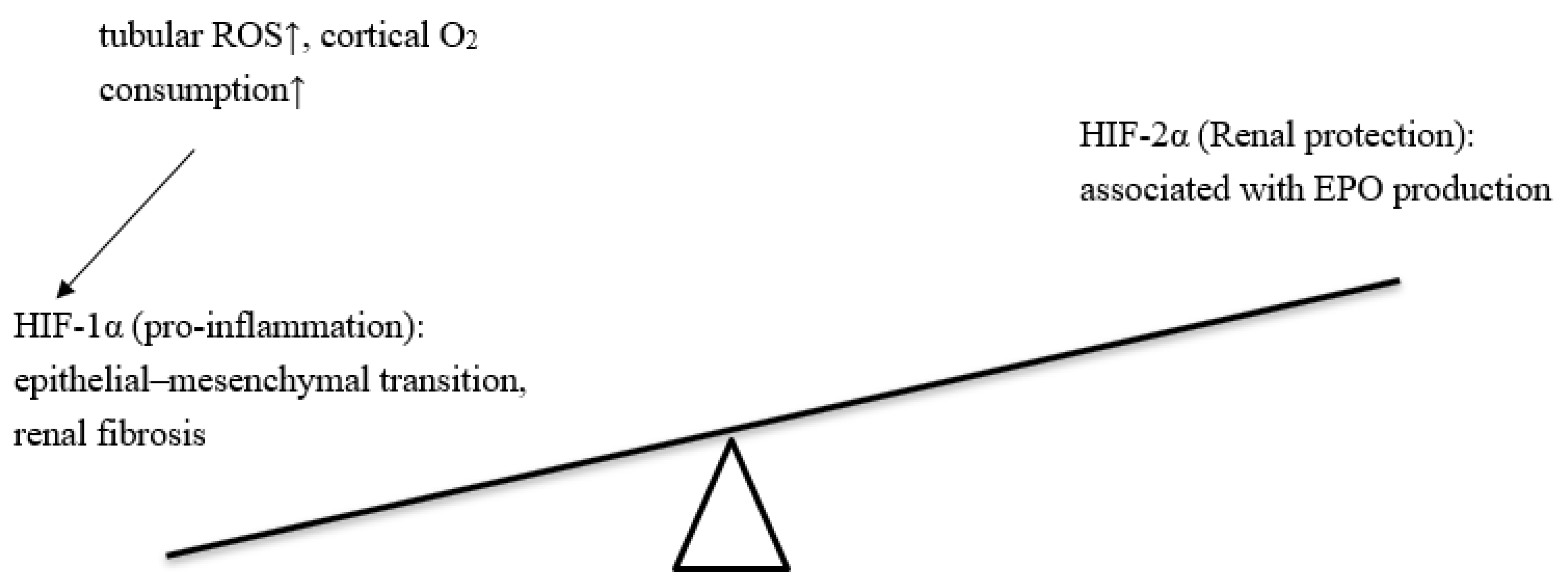 Biomedicines 10 00876 g003 Biomedicines 10 00876 g003