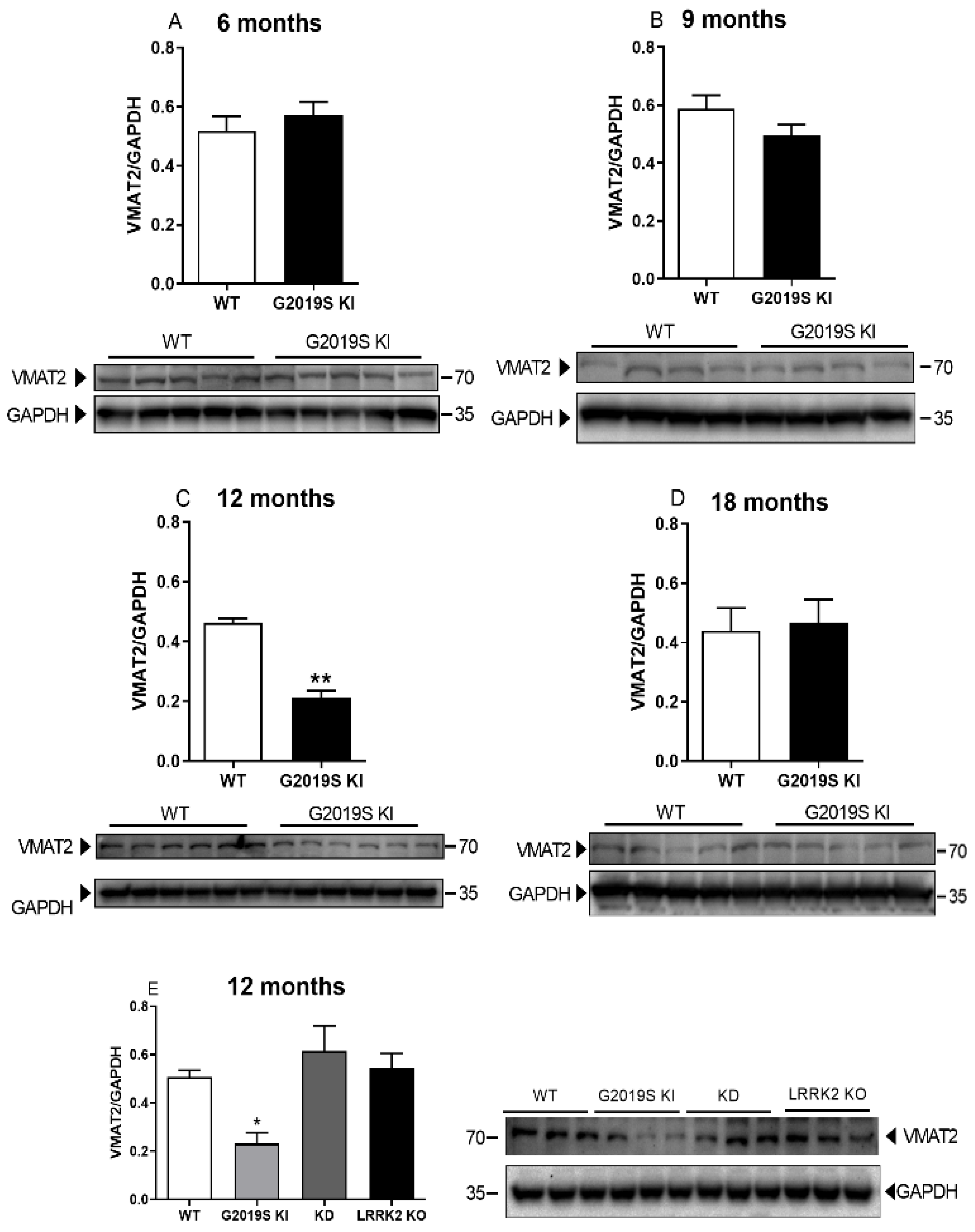 Biomedicines 10 00881 g004