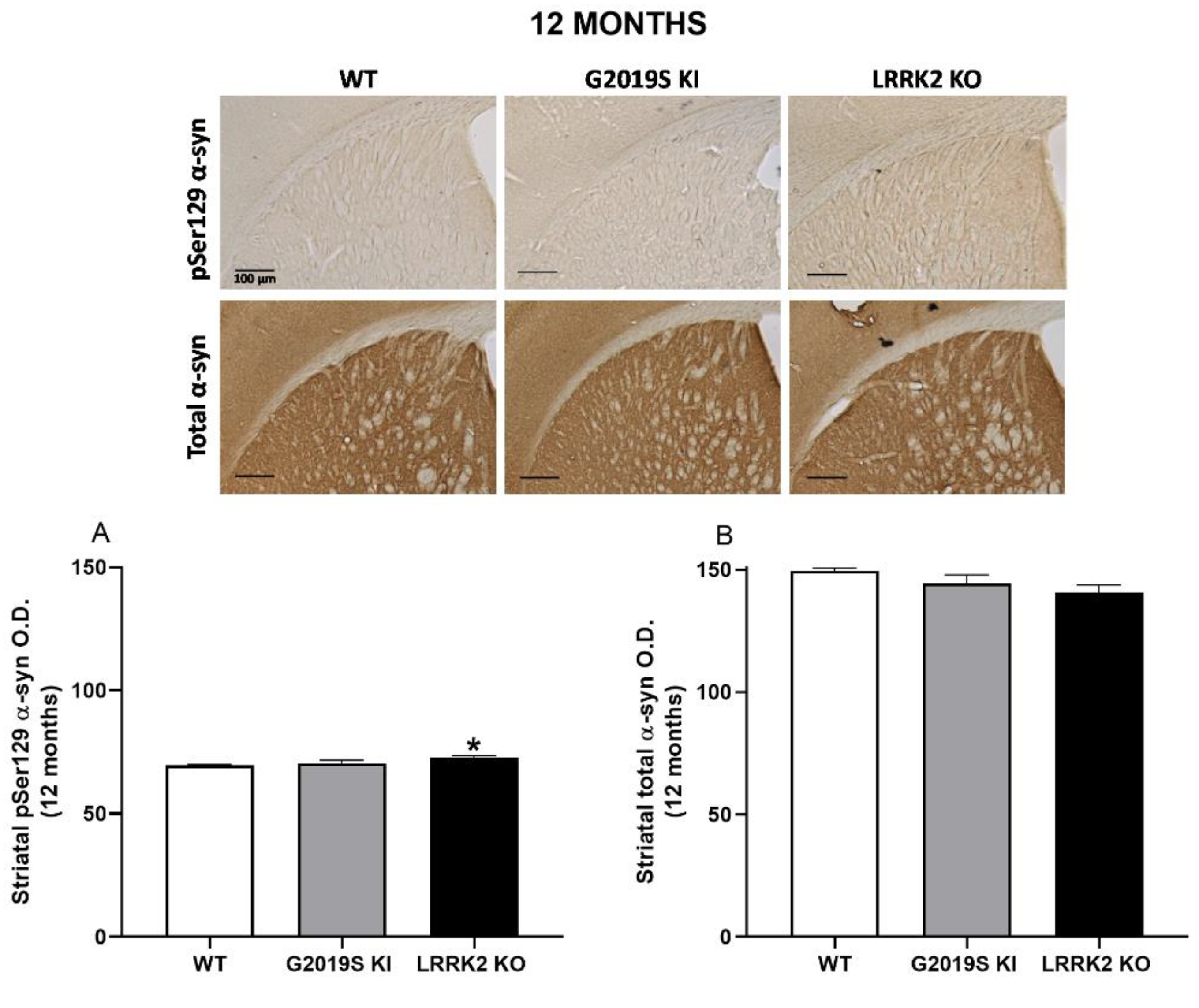 Biomedicines 10 00881 g007